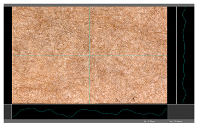 Molecules 27 00930 i019