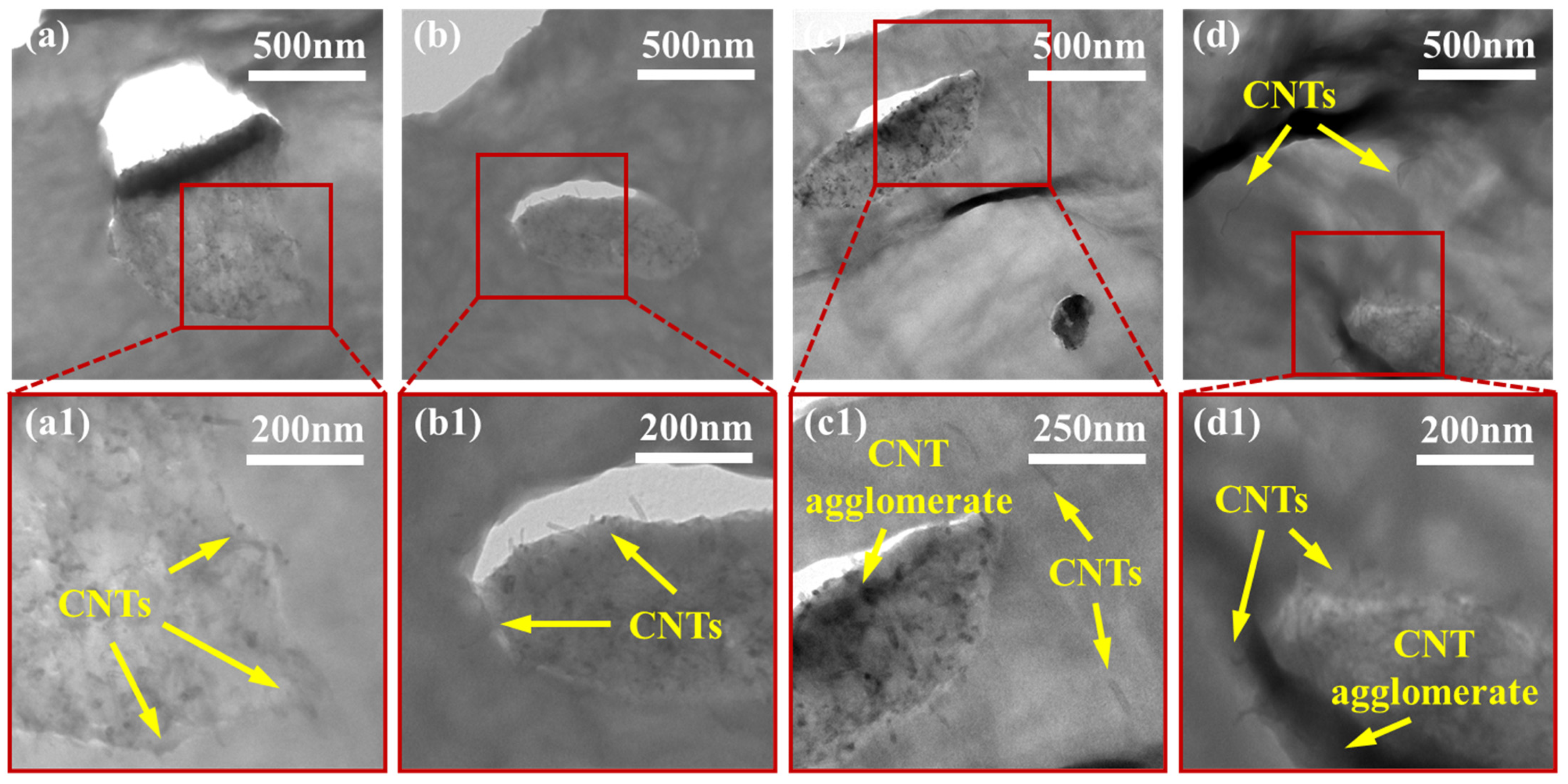 Molecules 27 00933 g004