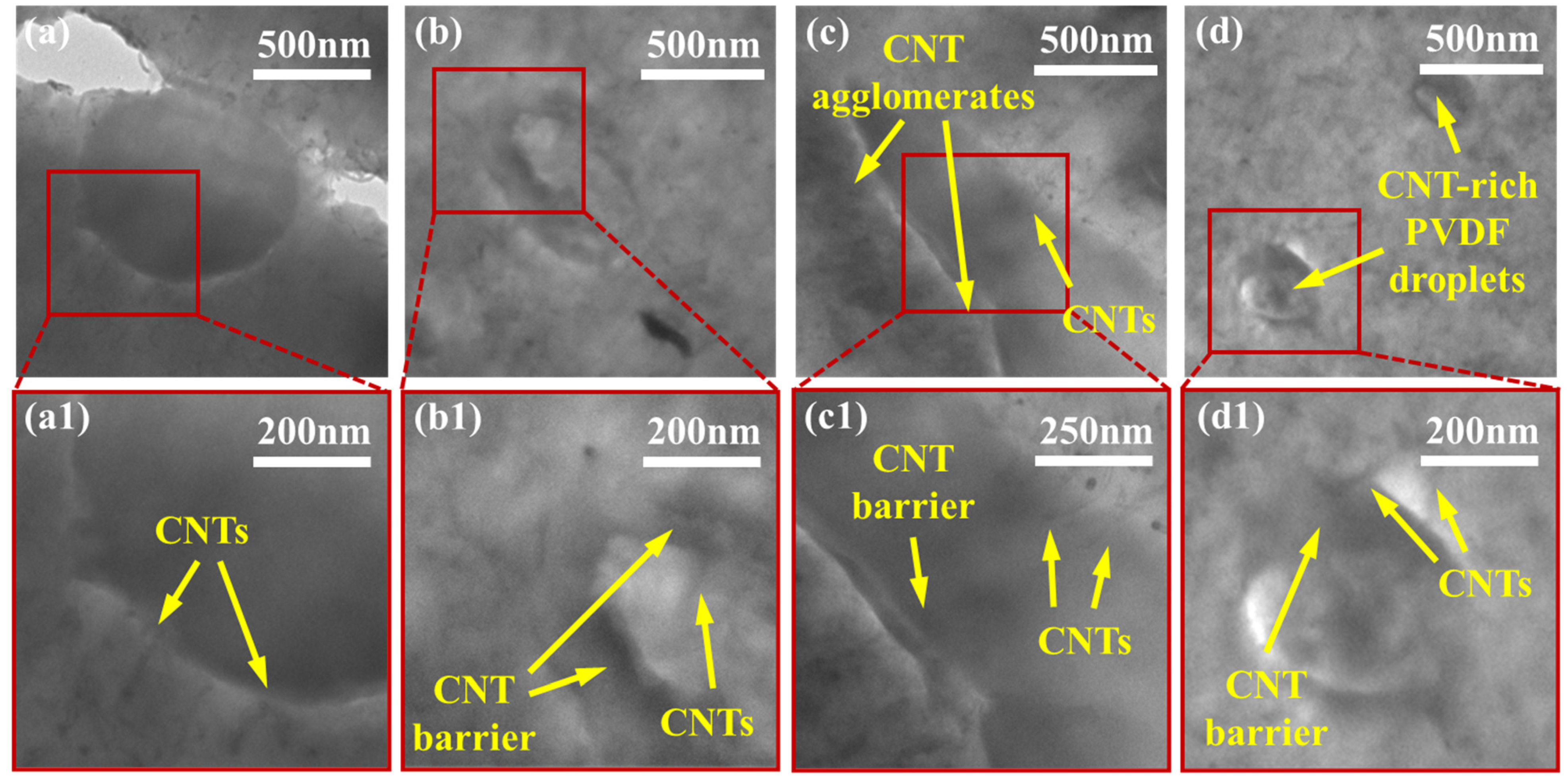 Molecules 27 00933 g006
