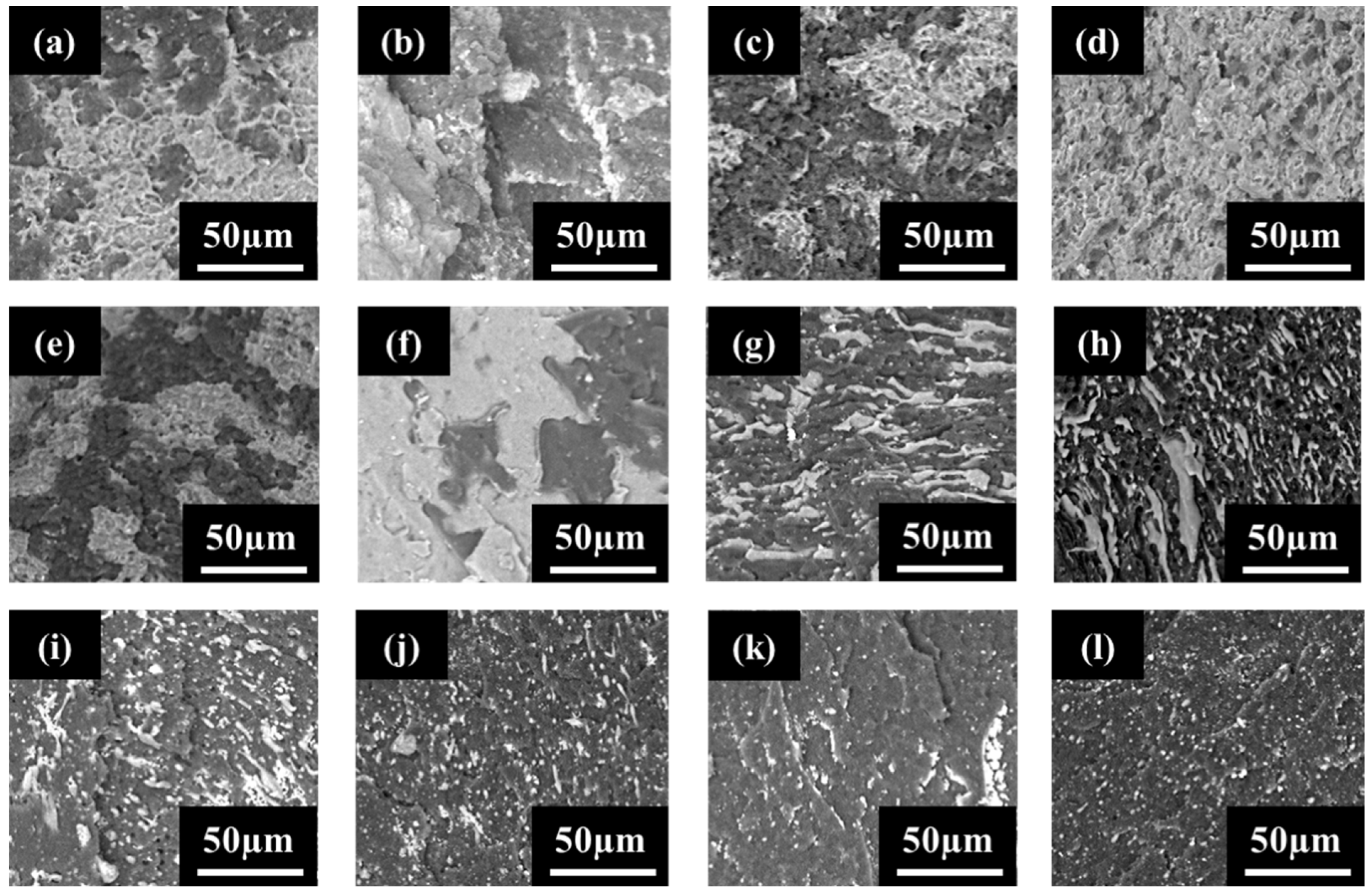 Molecules 27 00933 g007