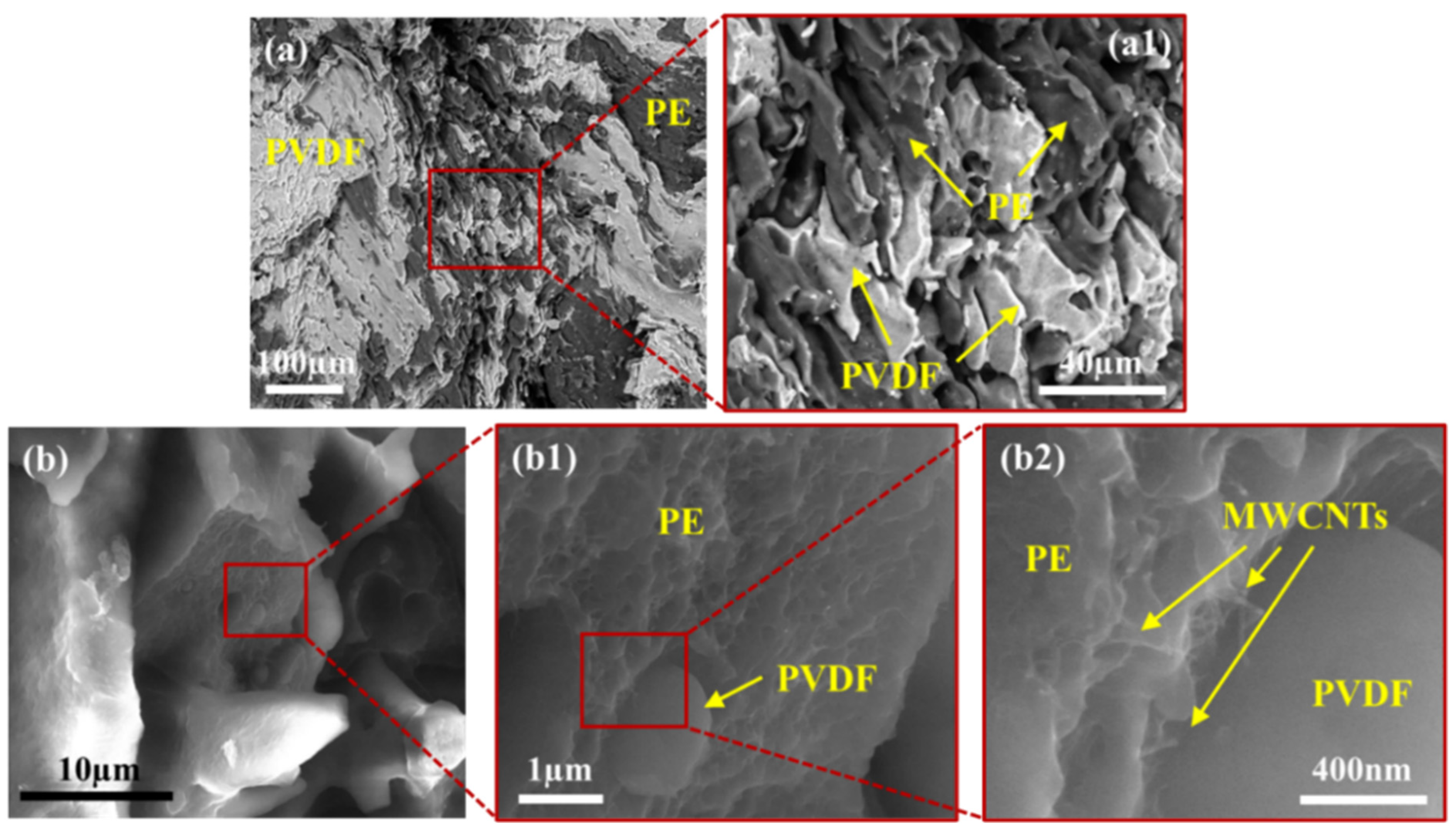 Molecules 27 00933 g008