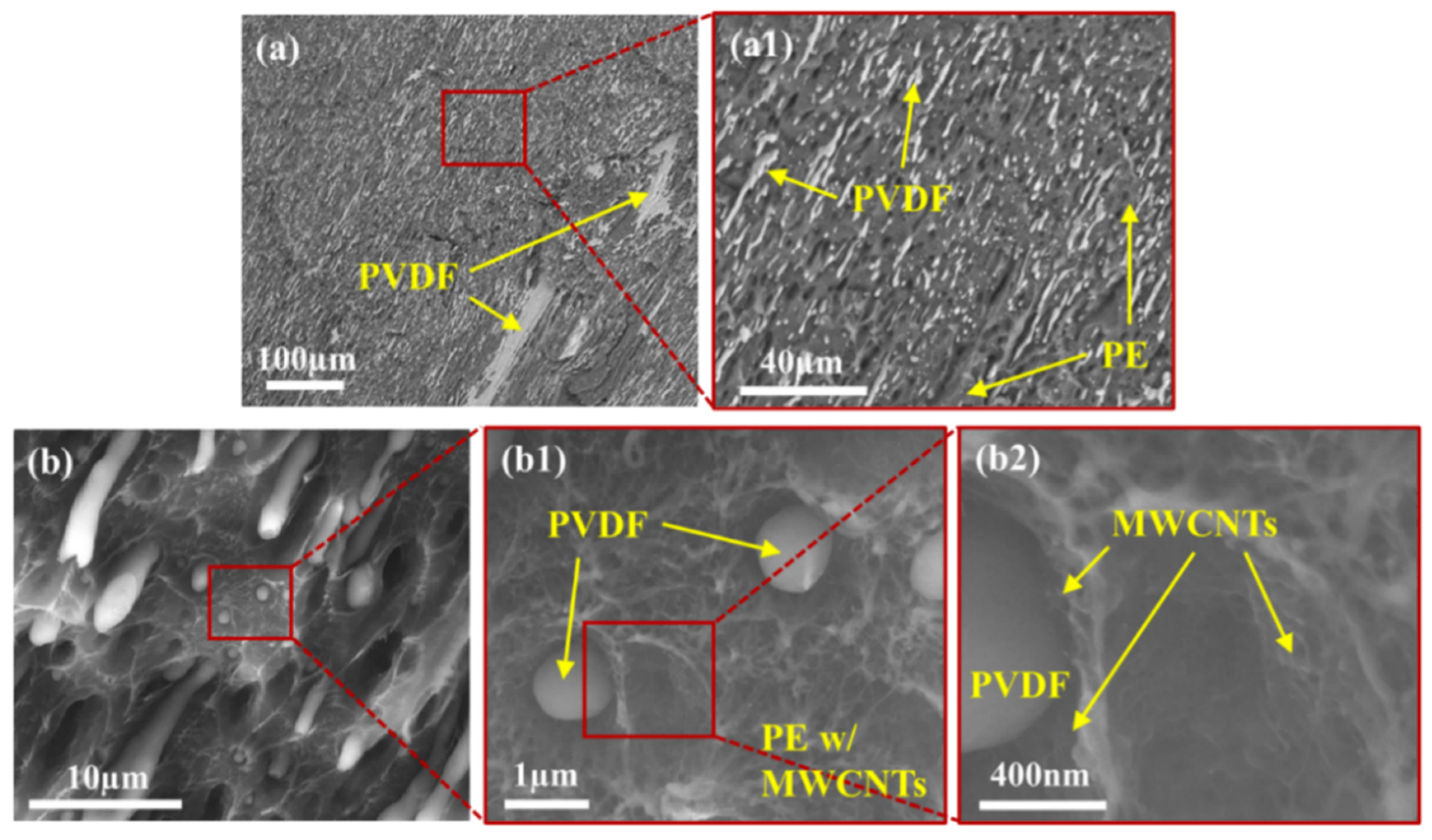 Molecules 27 00933 g009