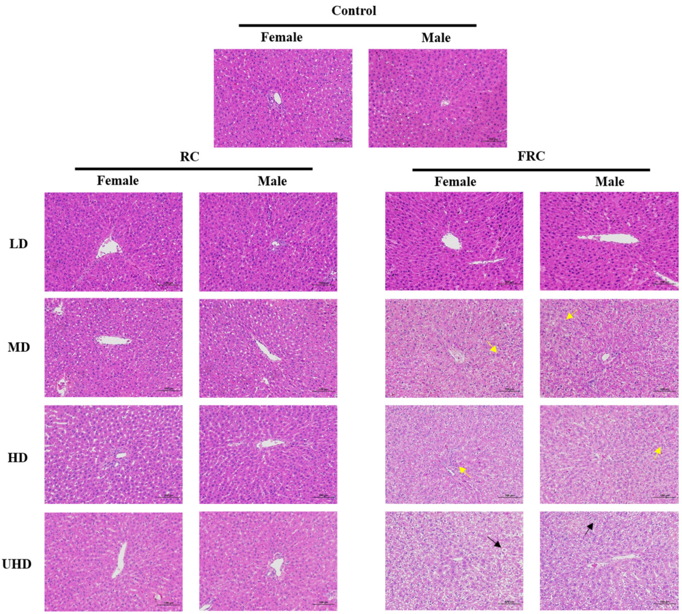 Molecules 27 00938 g003