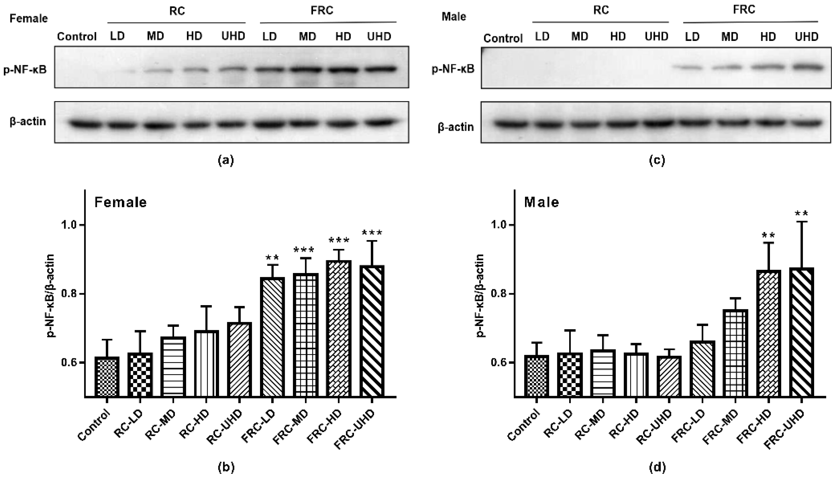 Molecules 27 00938 g004