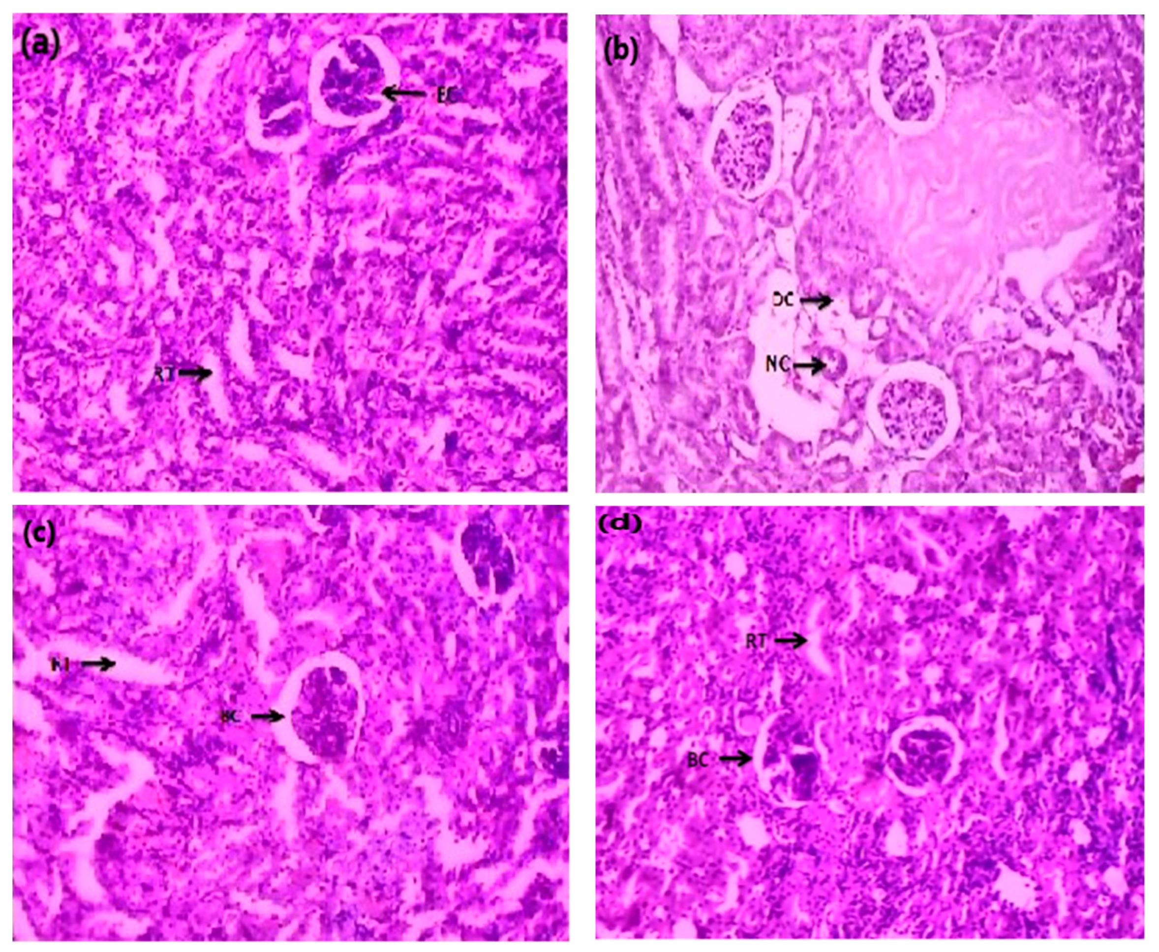 Molecules 27 00941 g002