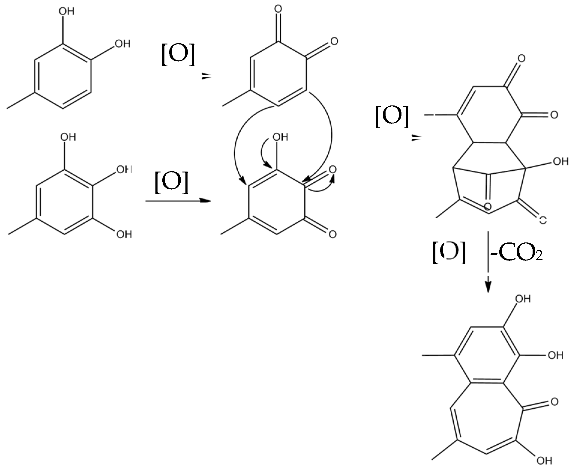 Molecules 27 00942 g003