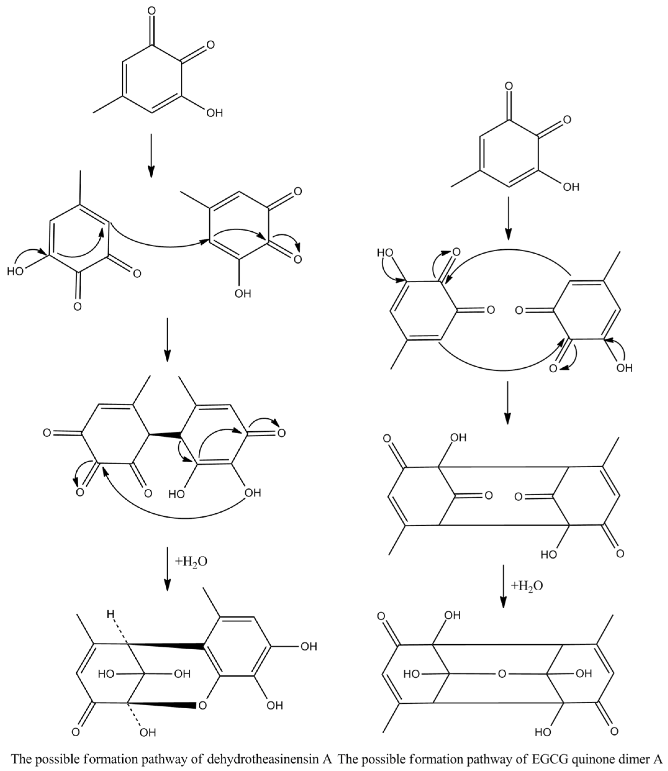 Molecules 27 00942 g009