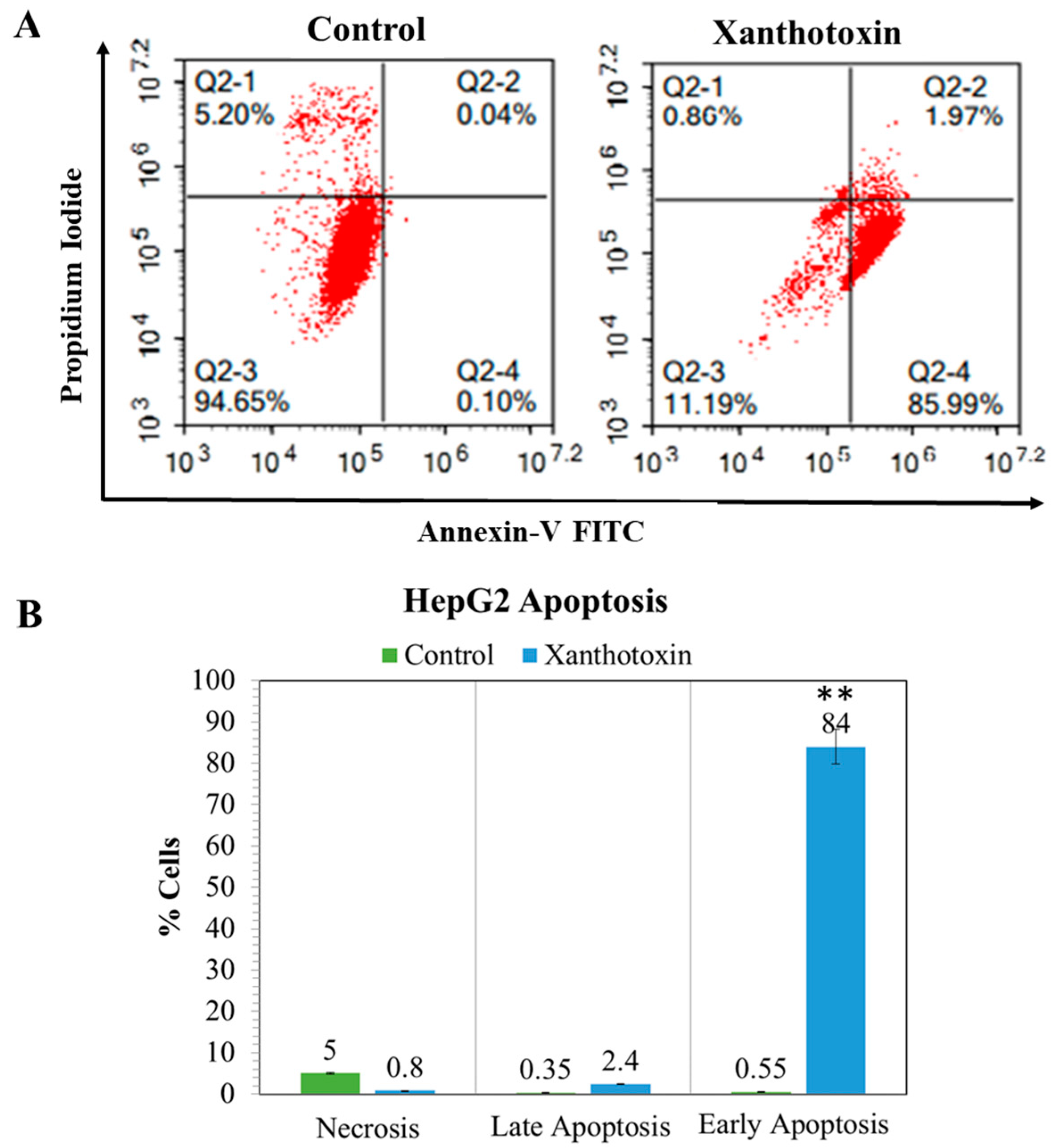 Molecules 27 00943 g005
