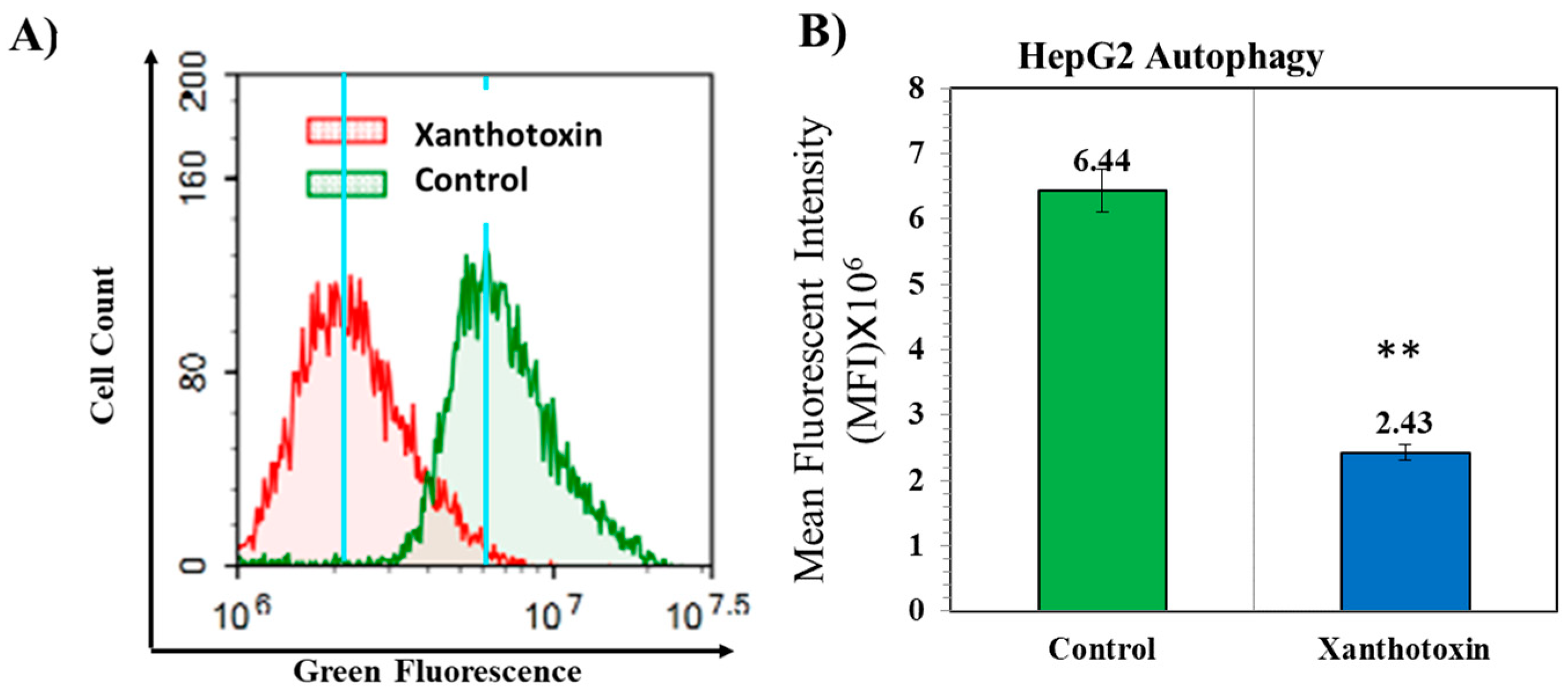 Molecules 27 00943 g006