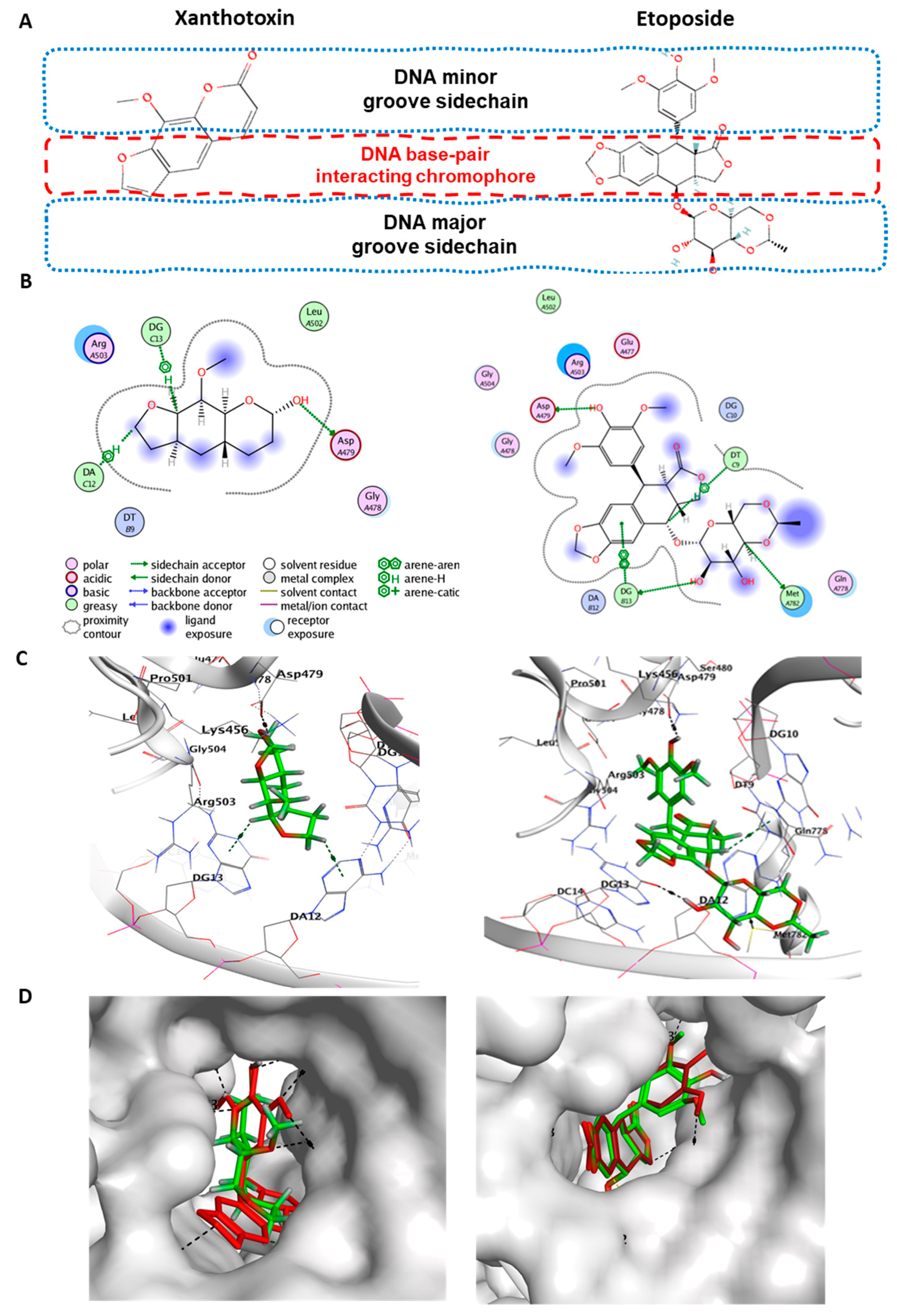 Molecules 27 00943 g007