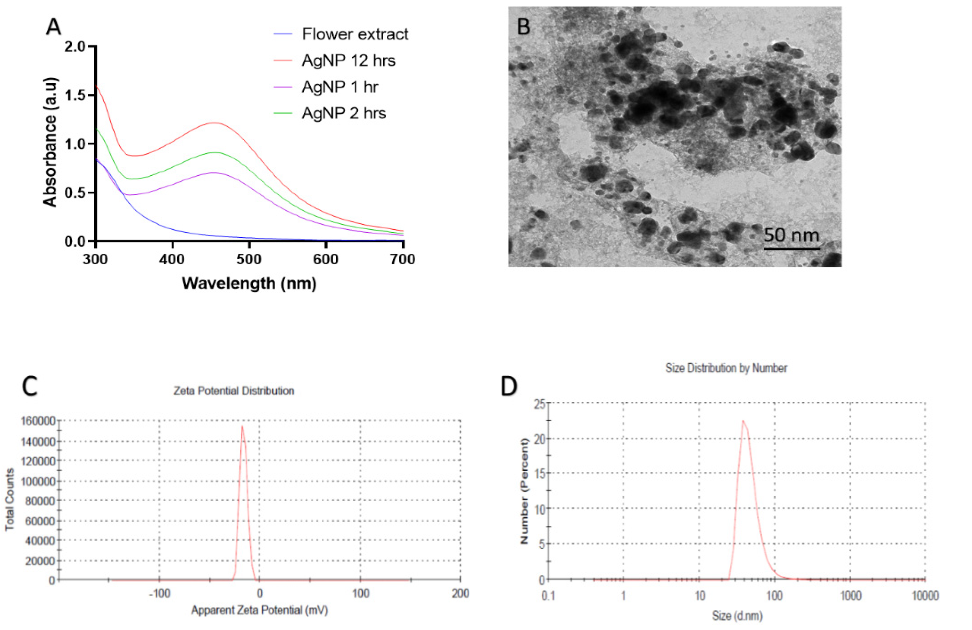 Molecules 27 00944 g001