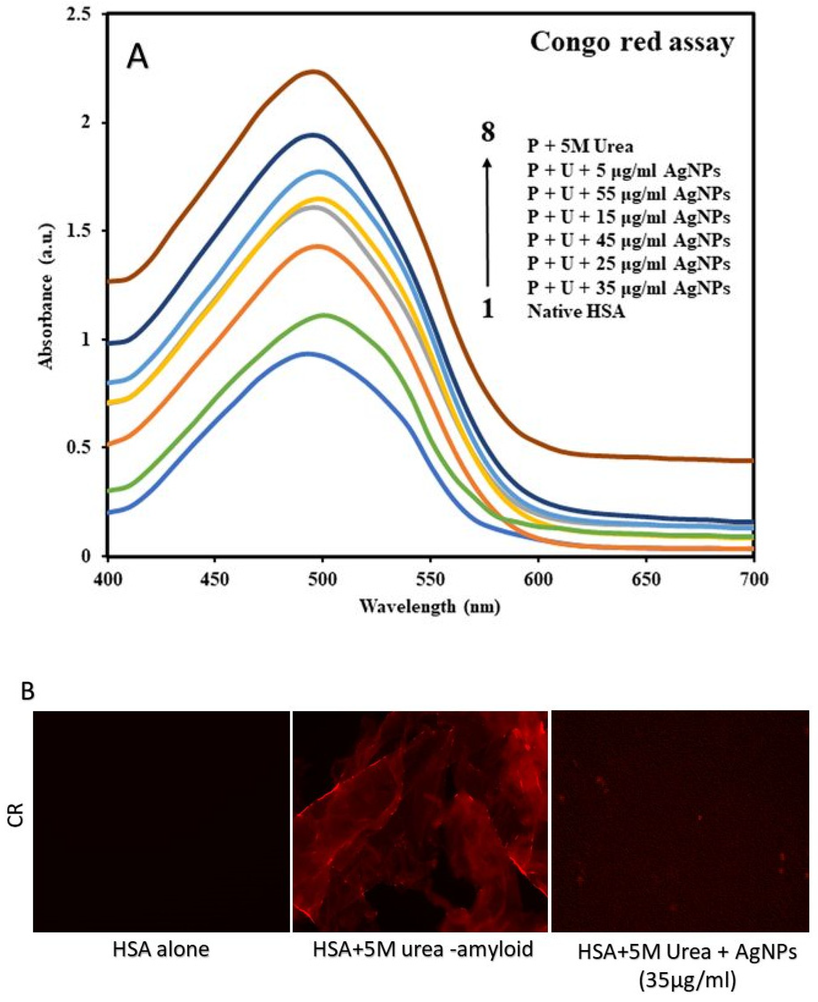 Molecules 27 00944 g005