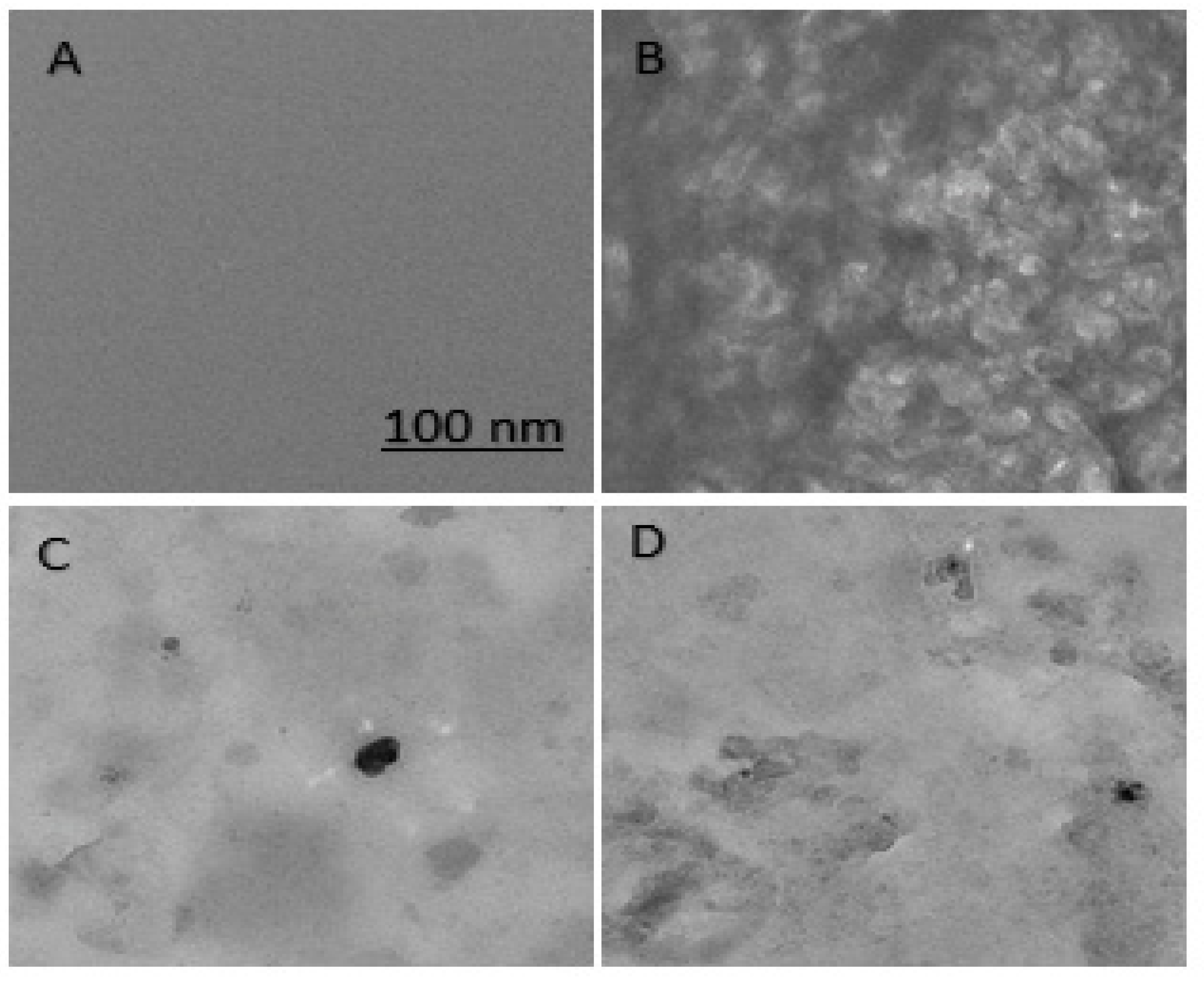 Molecules 27 00944 g006
