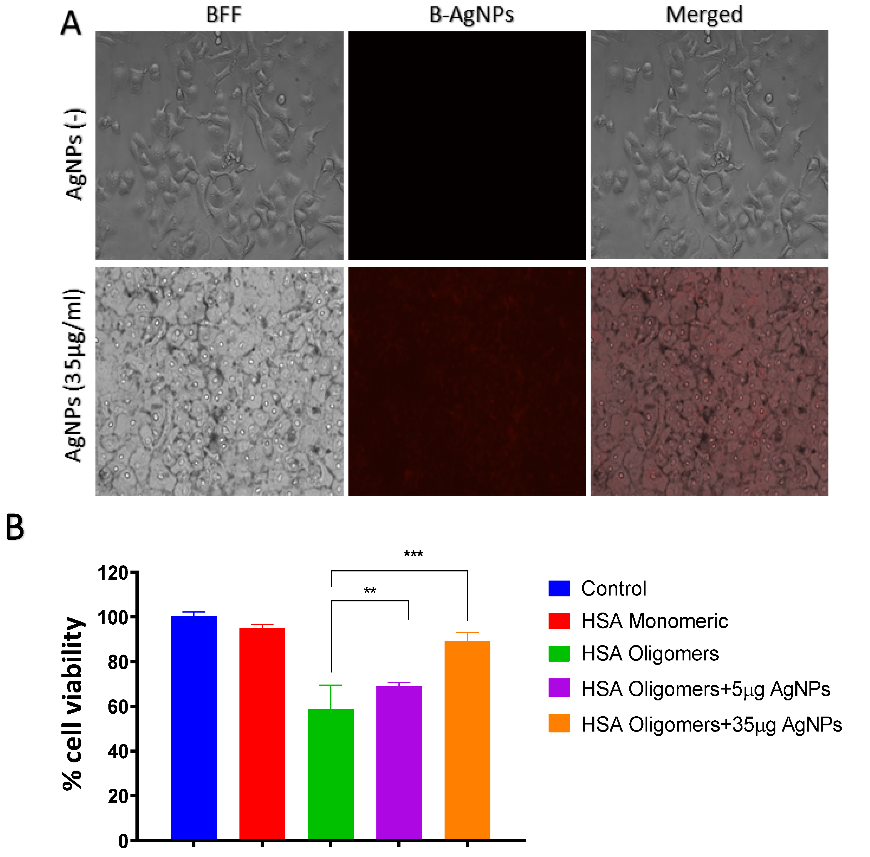 Molecules 27 00944 g007