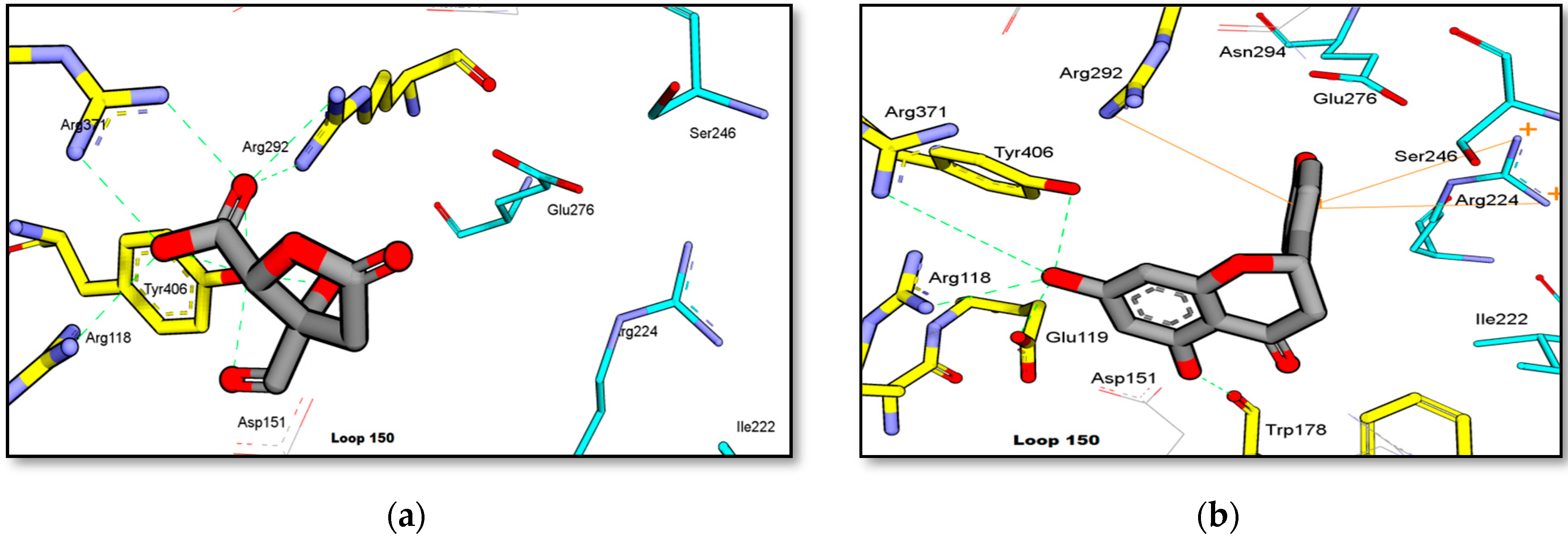 Molecules 27 00949 g010
