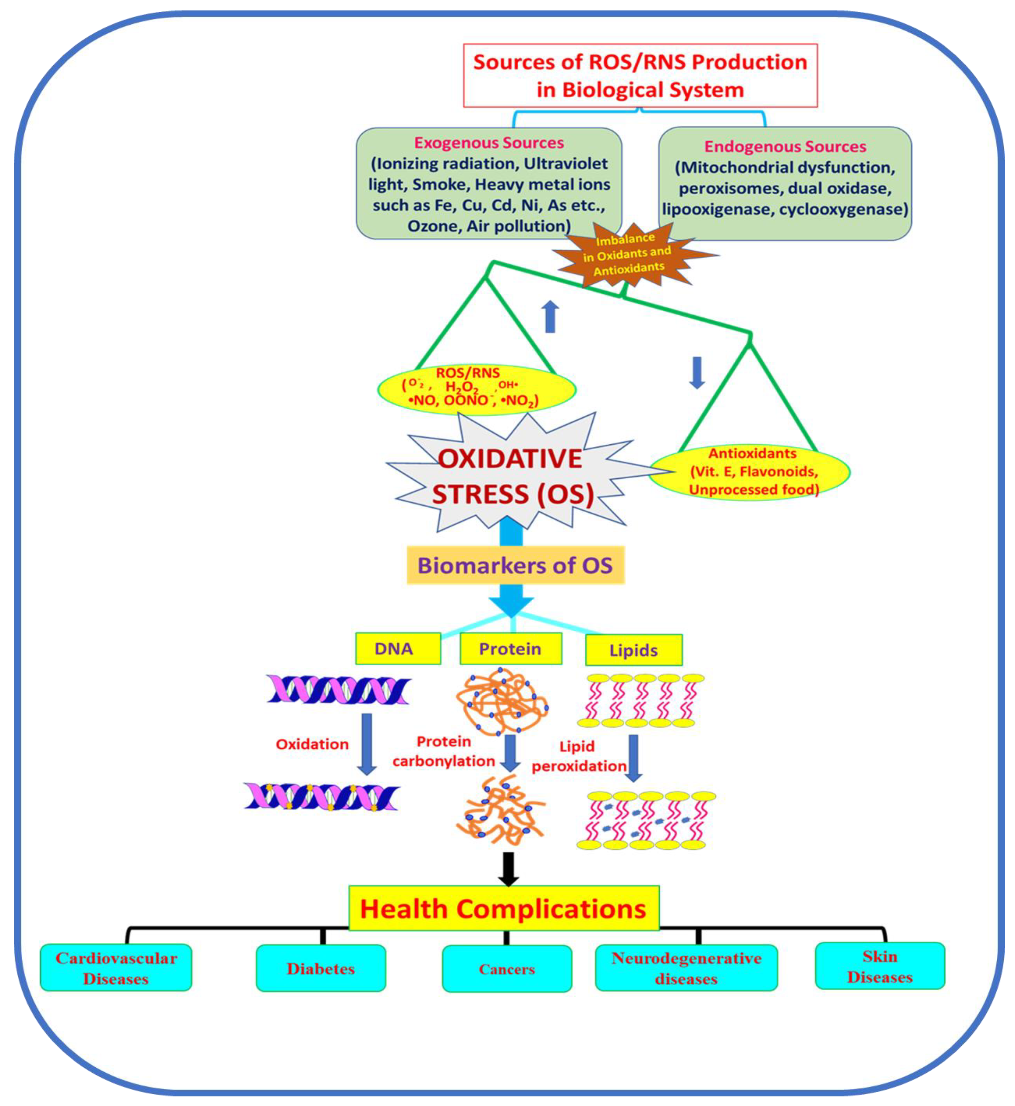 Molecules 27 00950 g002