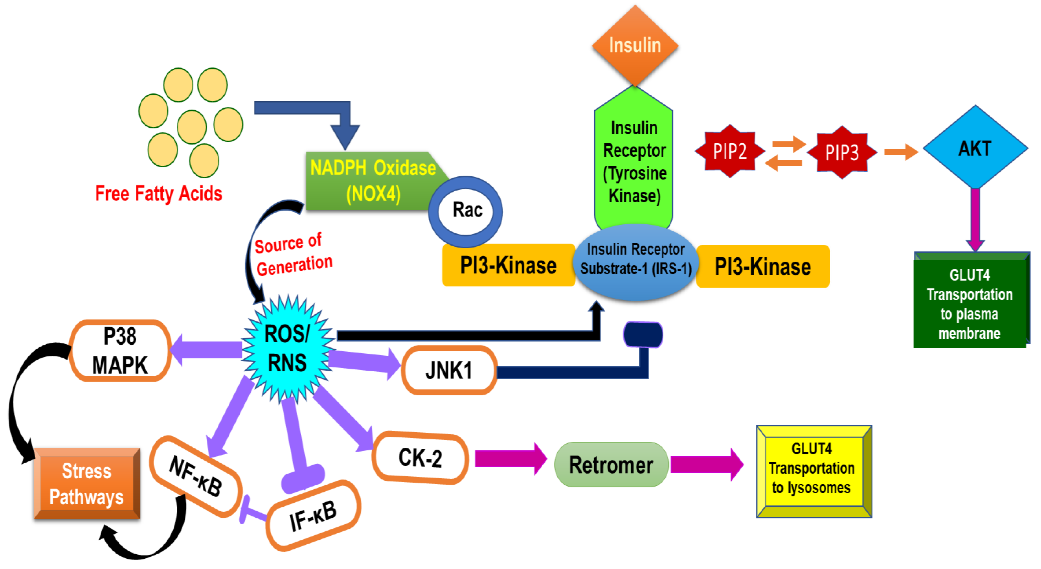 Molecules 27 00950 g005