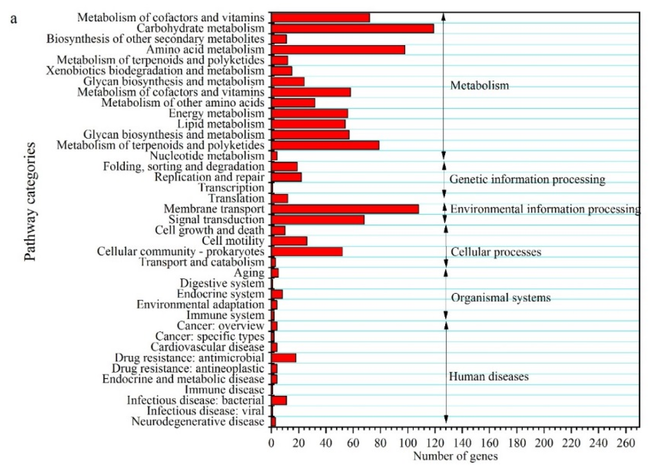 Molecules 27 00954 g004a