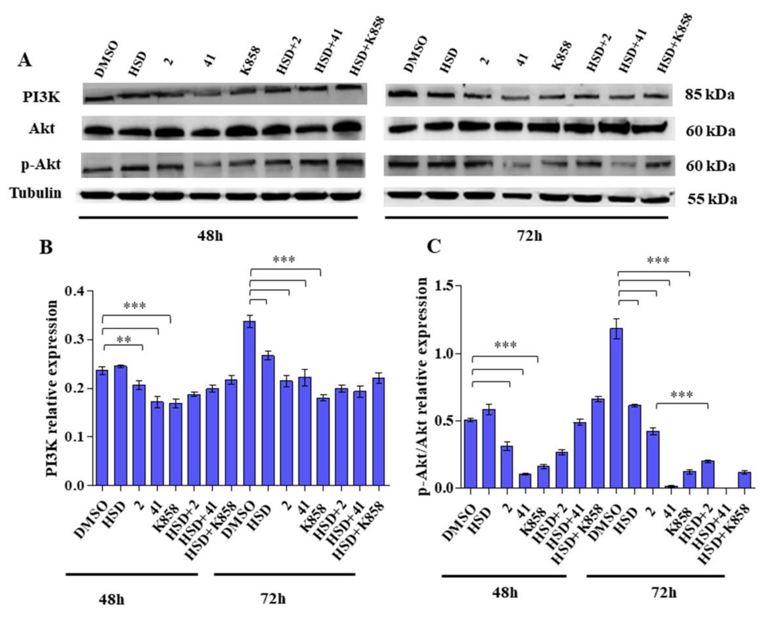 Molecules 27 00957 g006