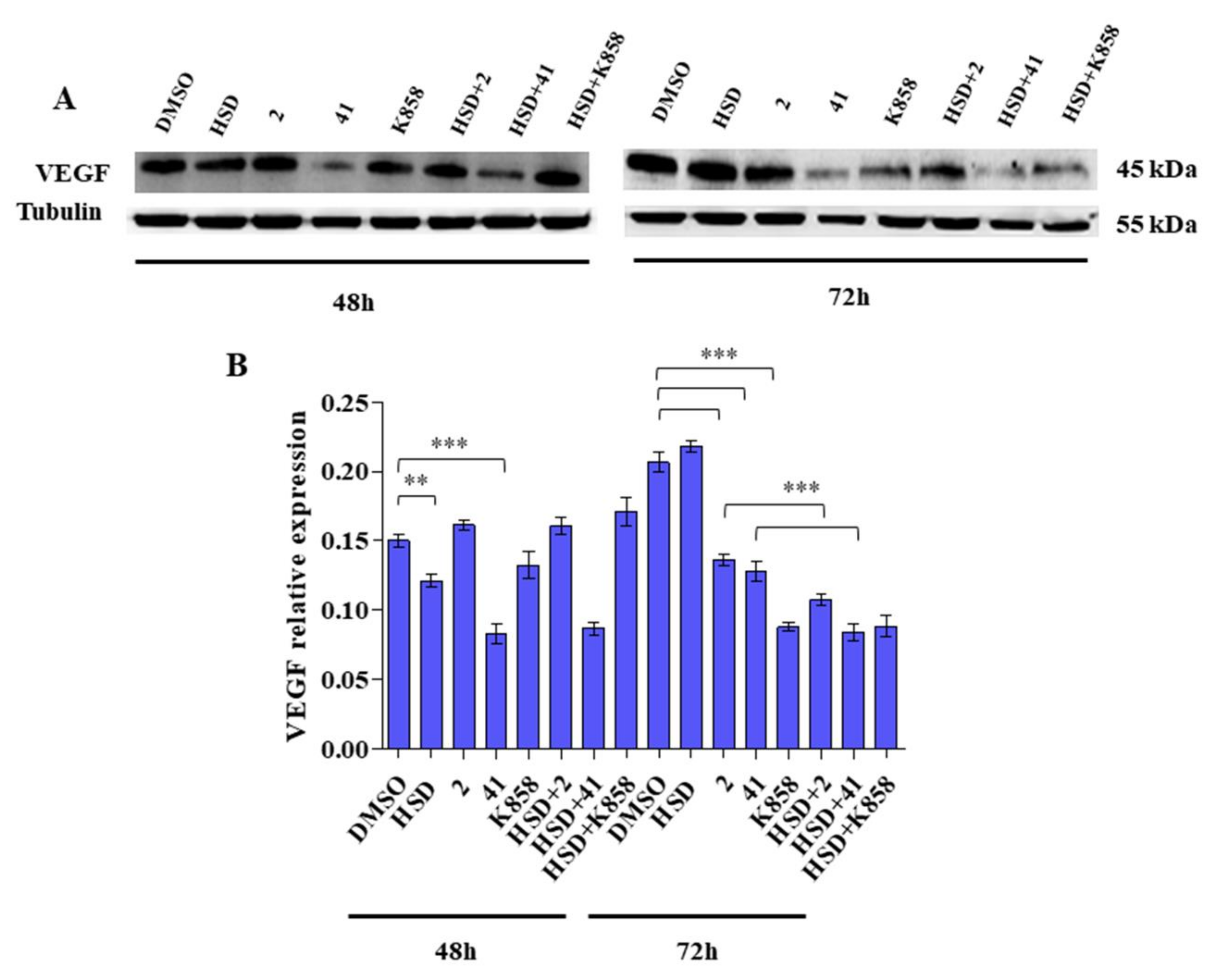 Molecules 27 00957 g007