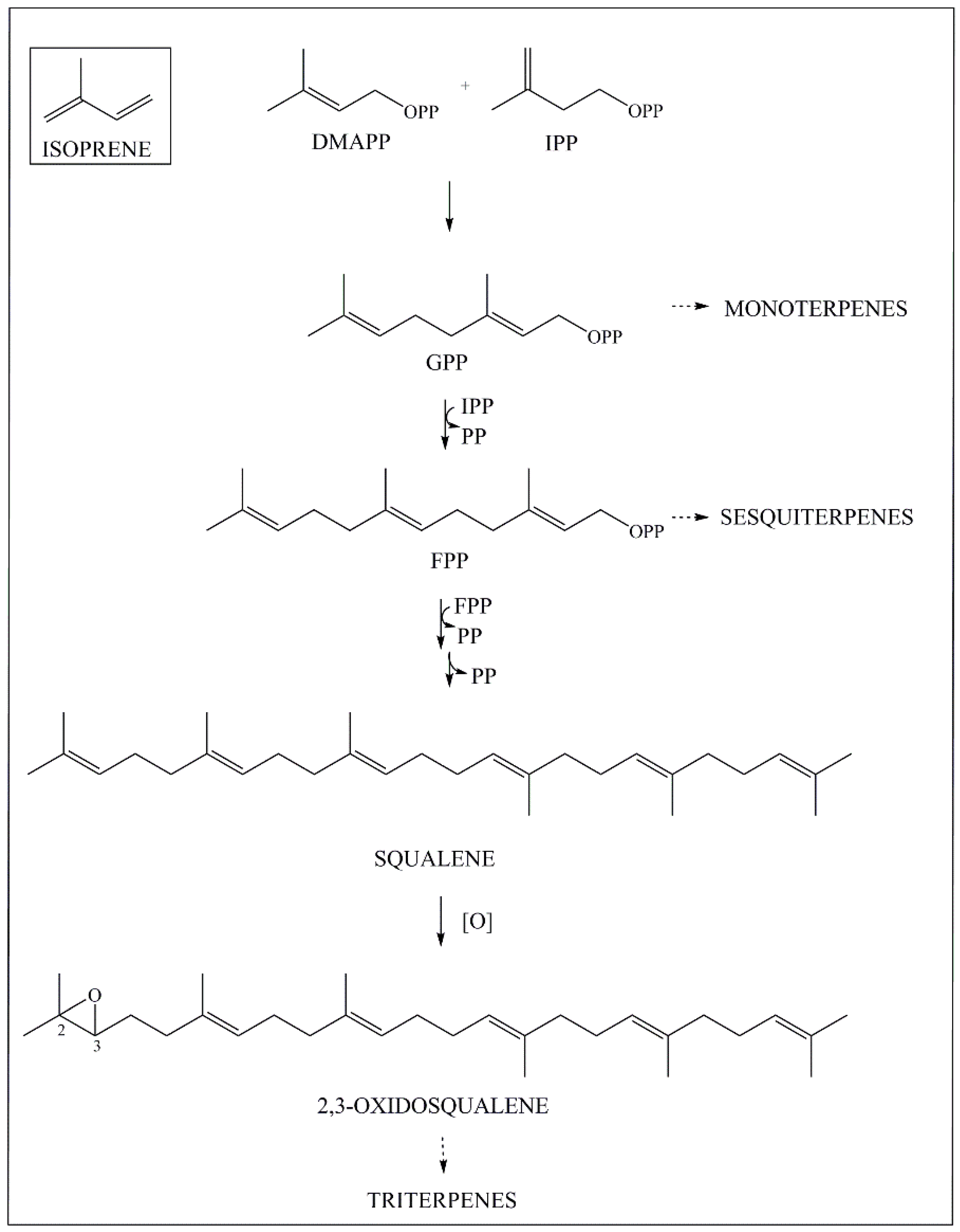 Molecules 27 00959 g002