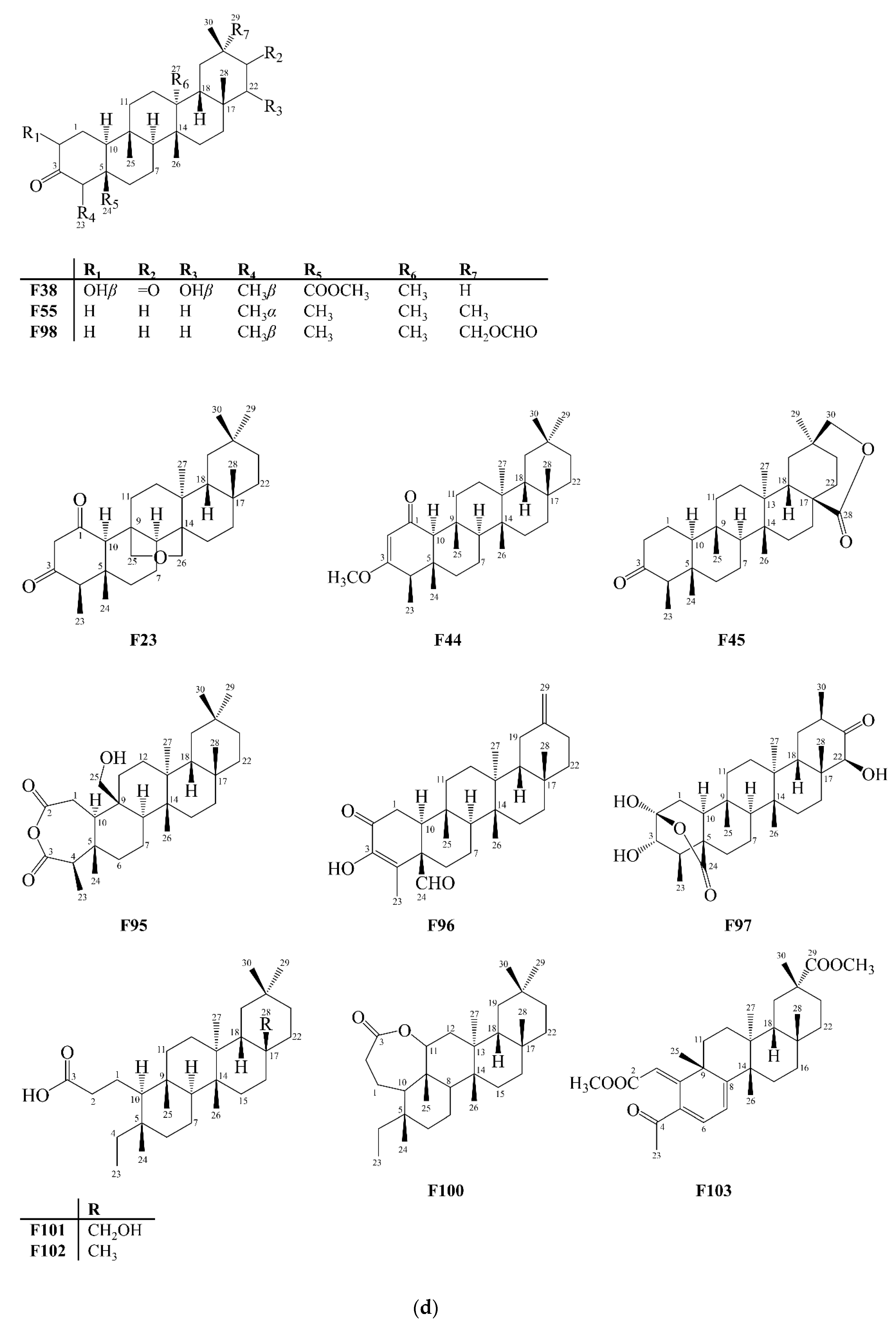 Molecules 27 00959 g004d