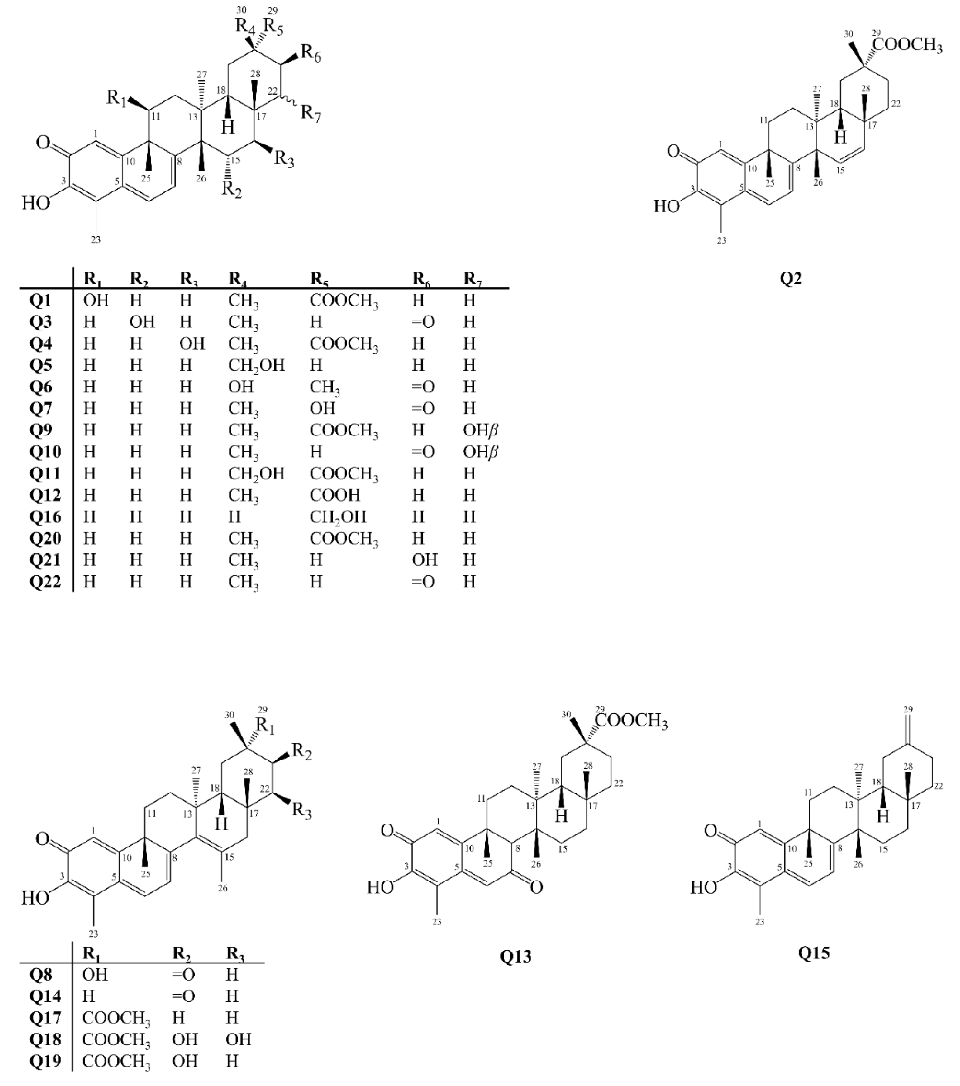Molecules 27 00959 g005