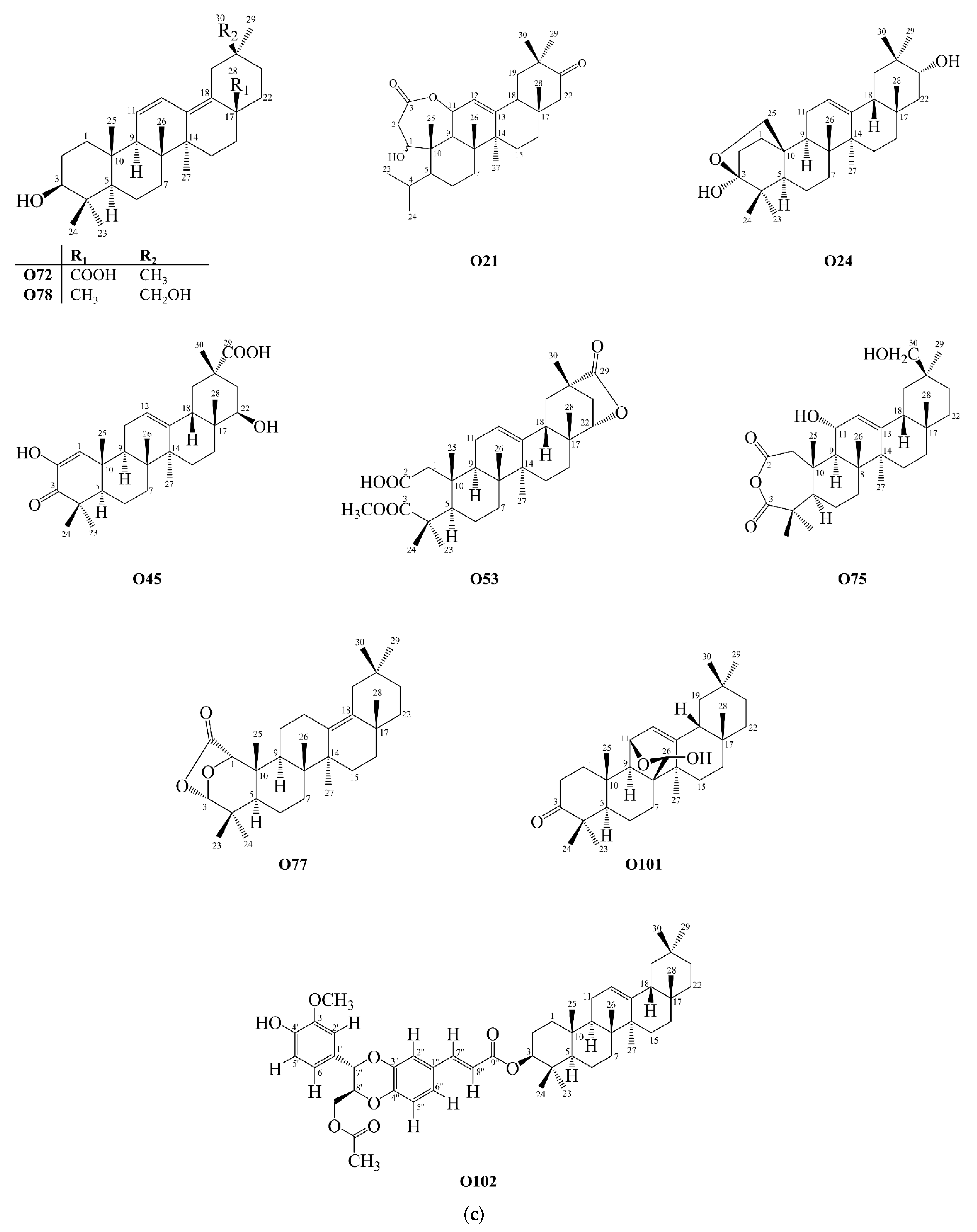 Molecules 27 00959 g009c