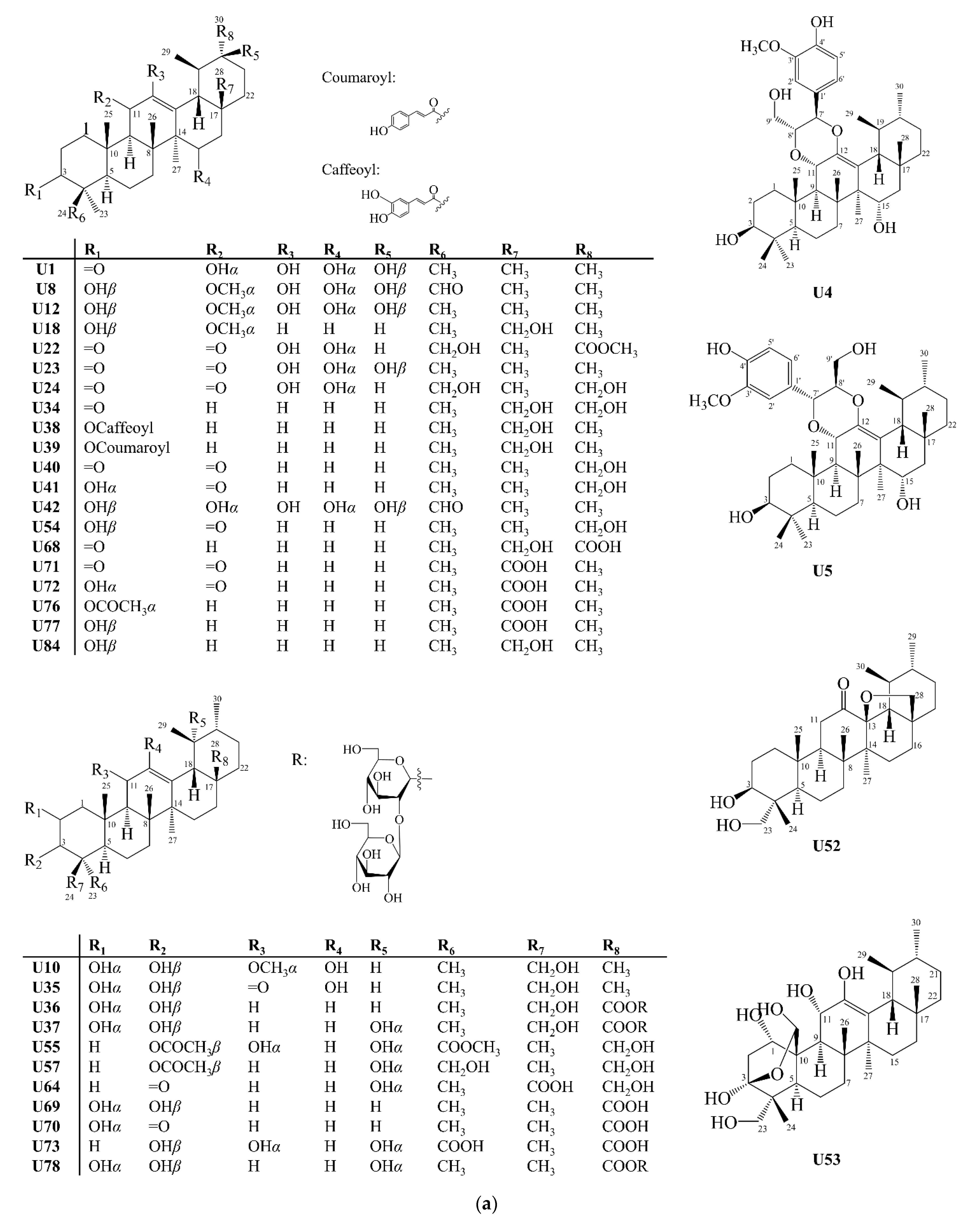 Molecules 27 00959 g010a