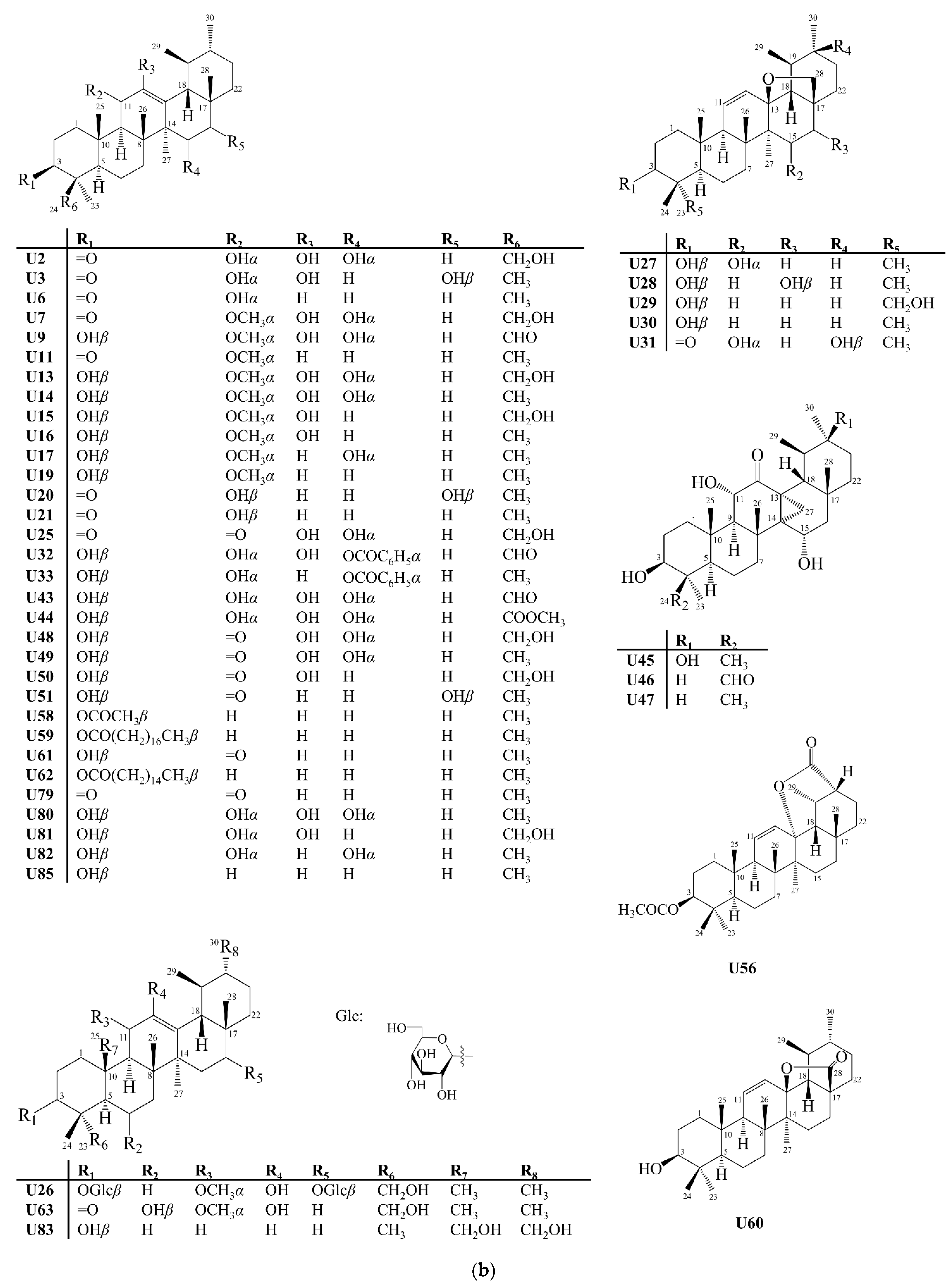Molecules 27 00959 g010b