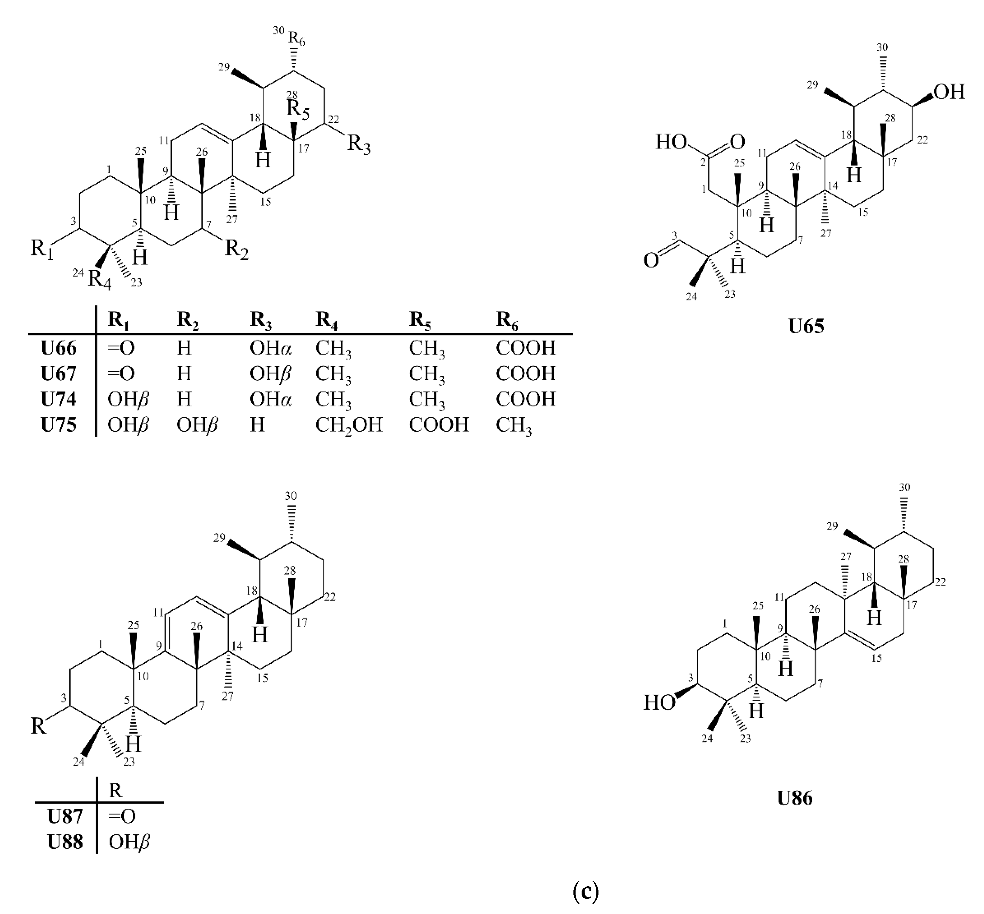Molecules 27 00959 g010c
