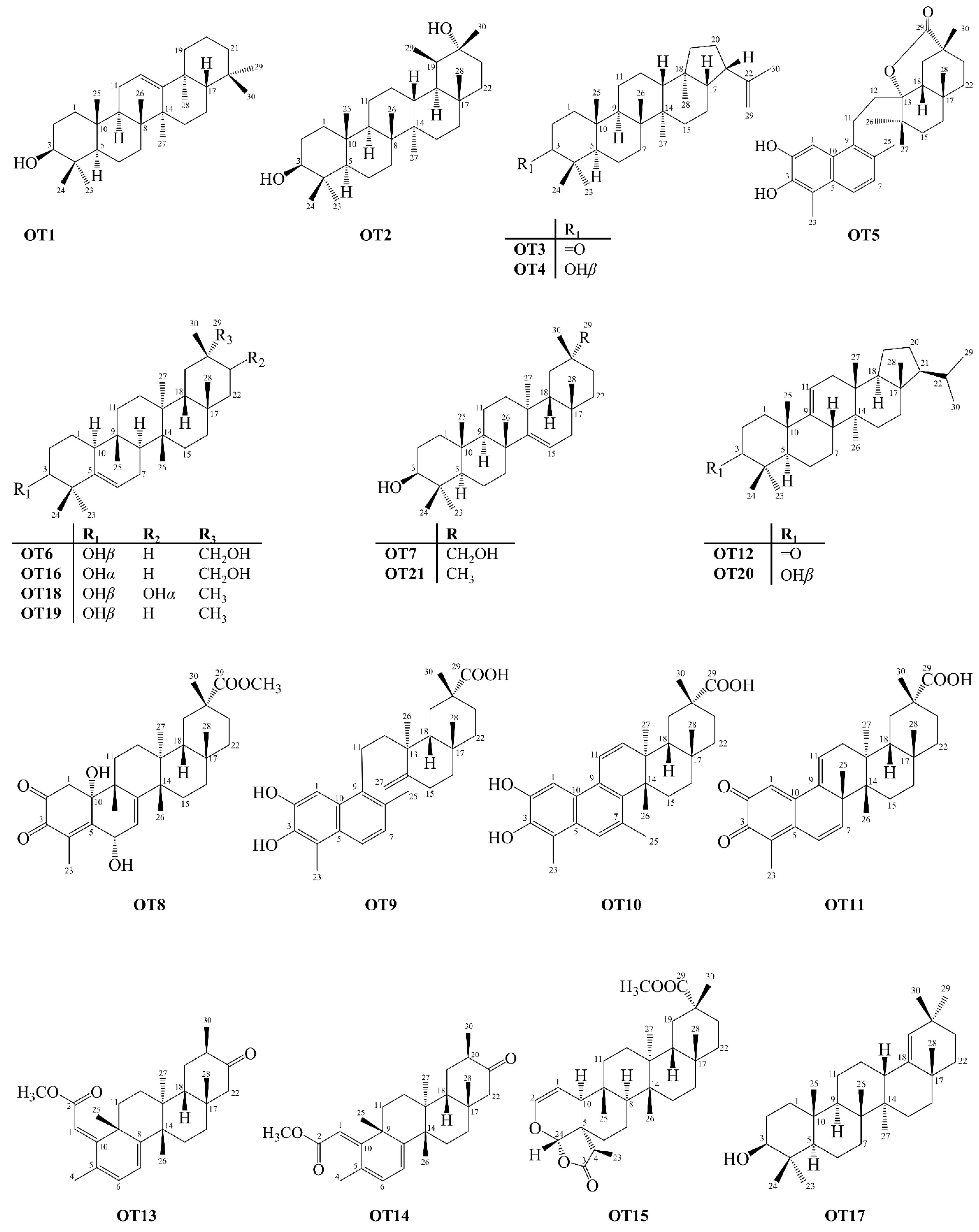 Molecules 27 00959 g011