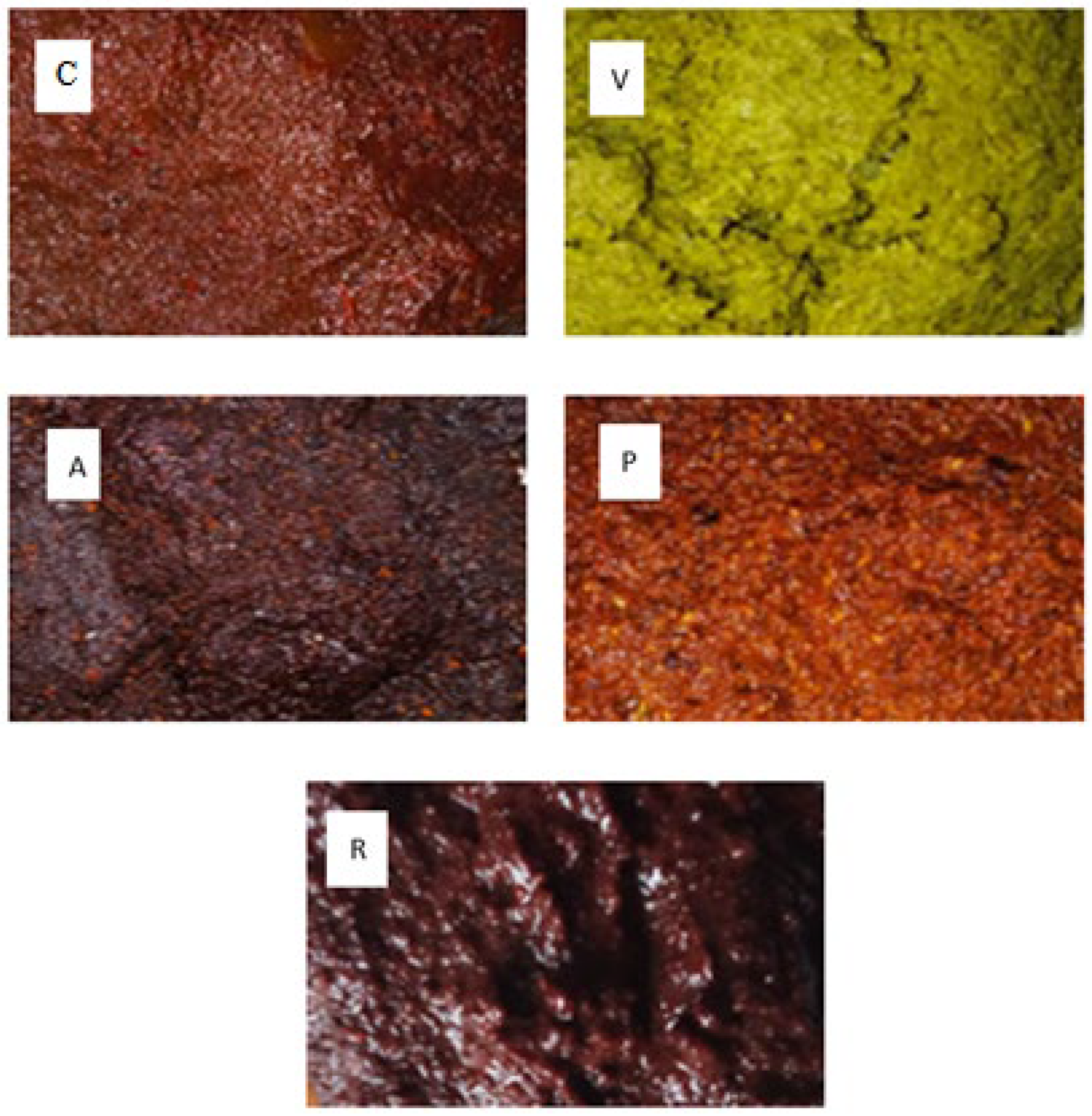 Molecules 27 00966 g001 Molecules 27 00966 g001