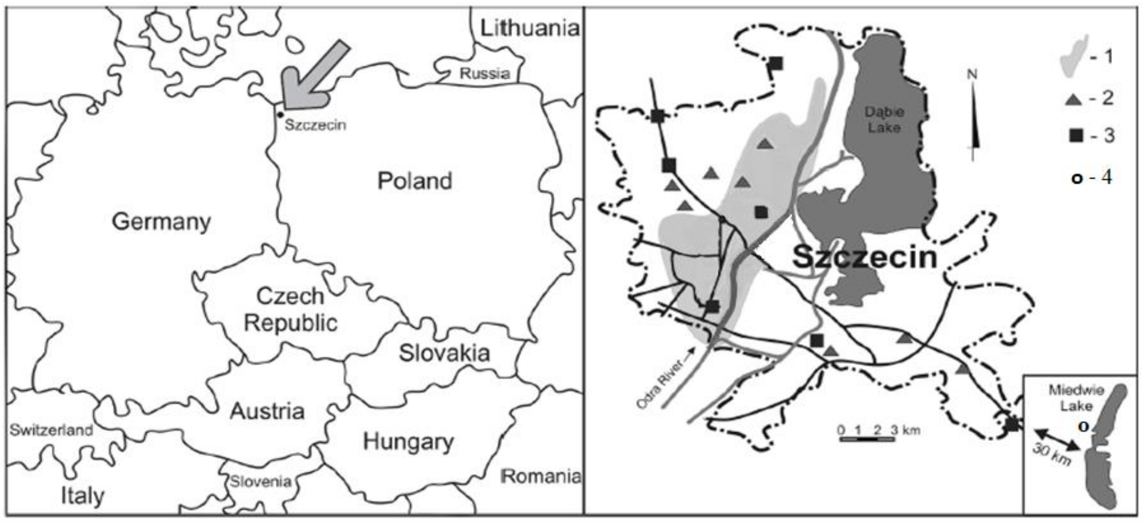 Molecules 27 00972 g007