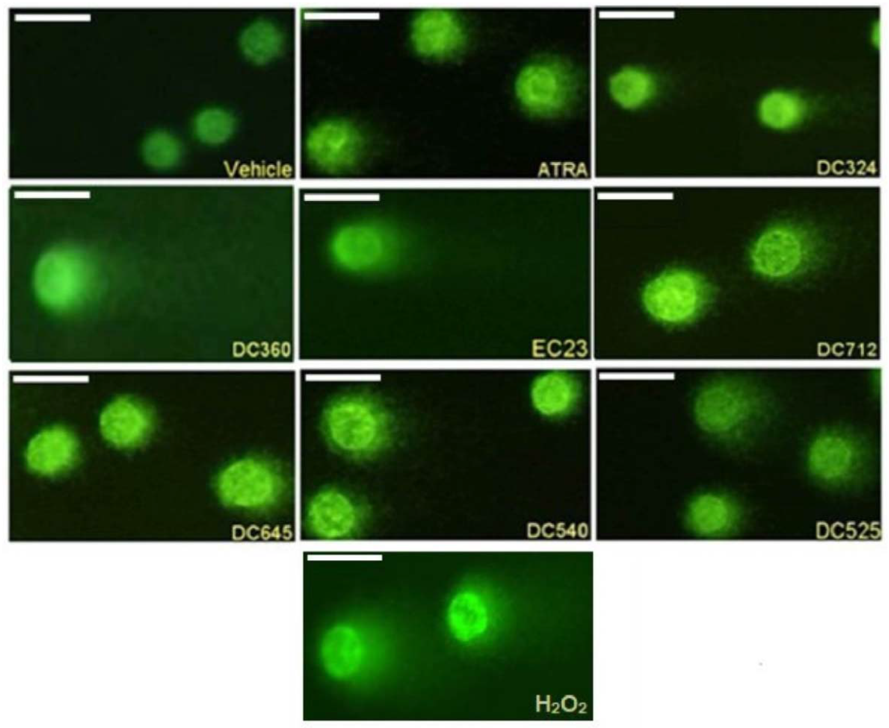 Molecules 27 00977 g003