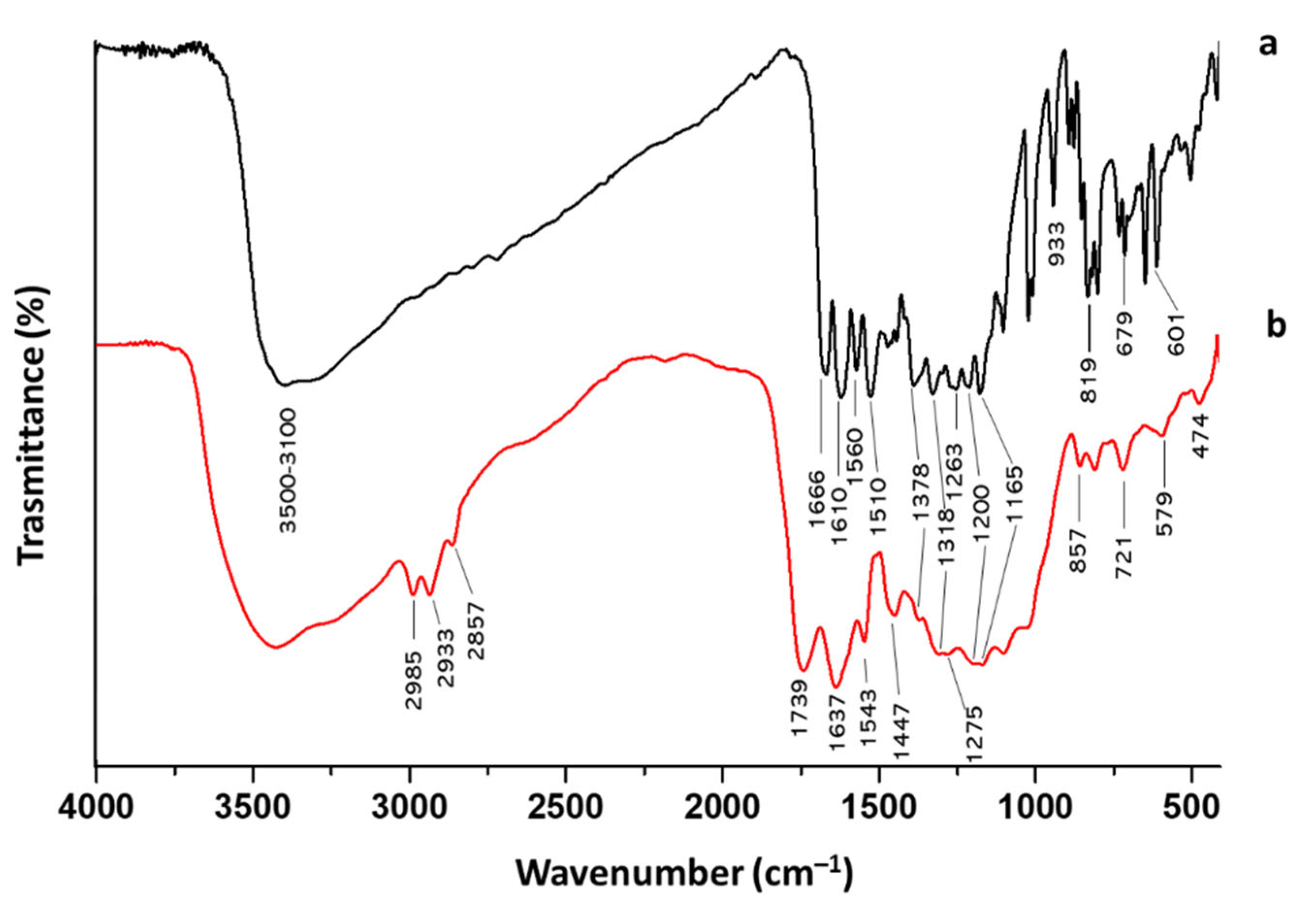 Molecules 27 00979 g003 Molecules 27 00979 g003