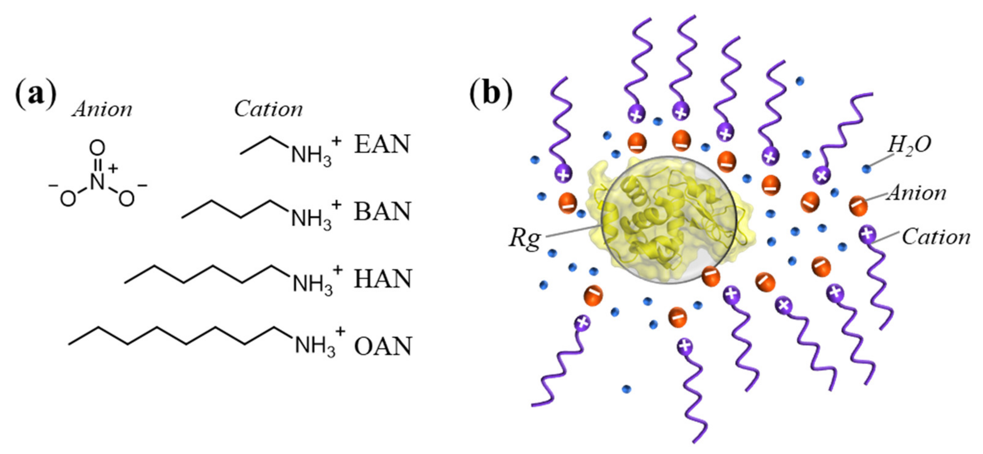 Molecules 27 00984 g001