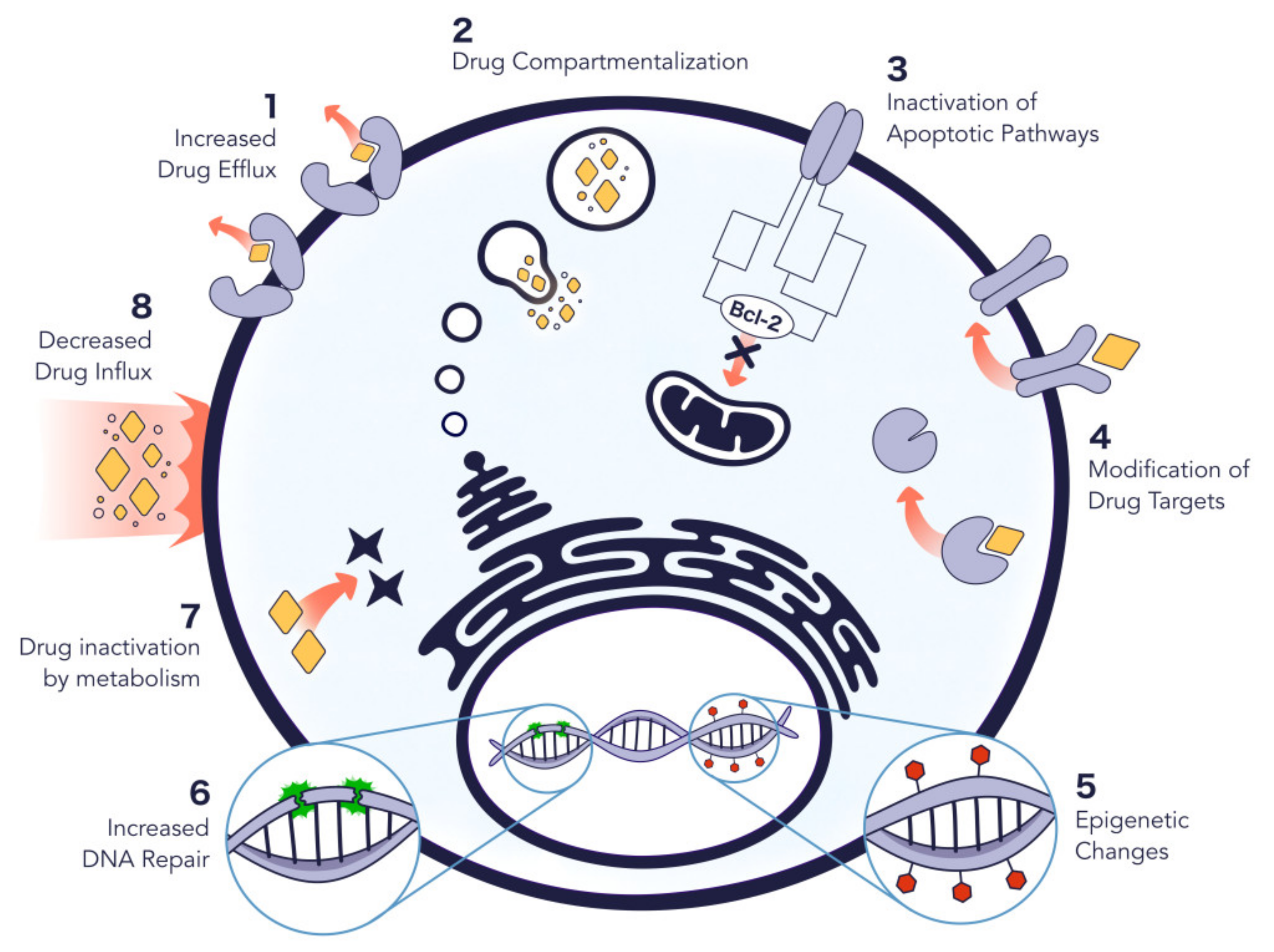 Molecules 27 00991 g001 Molecules 27 00991 g001