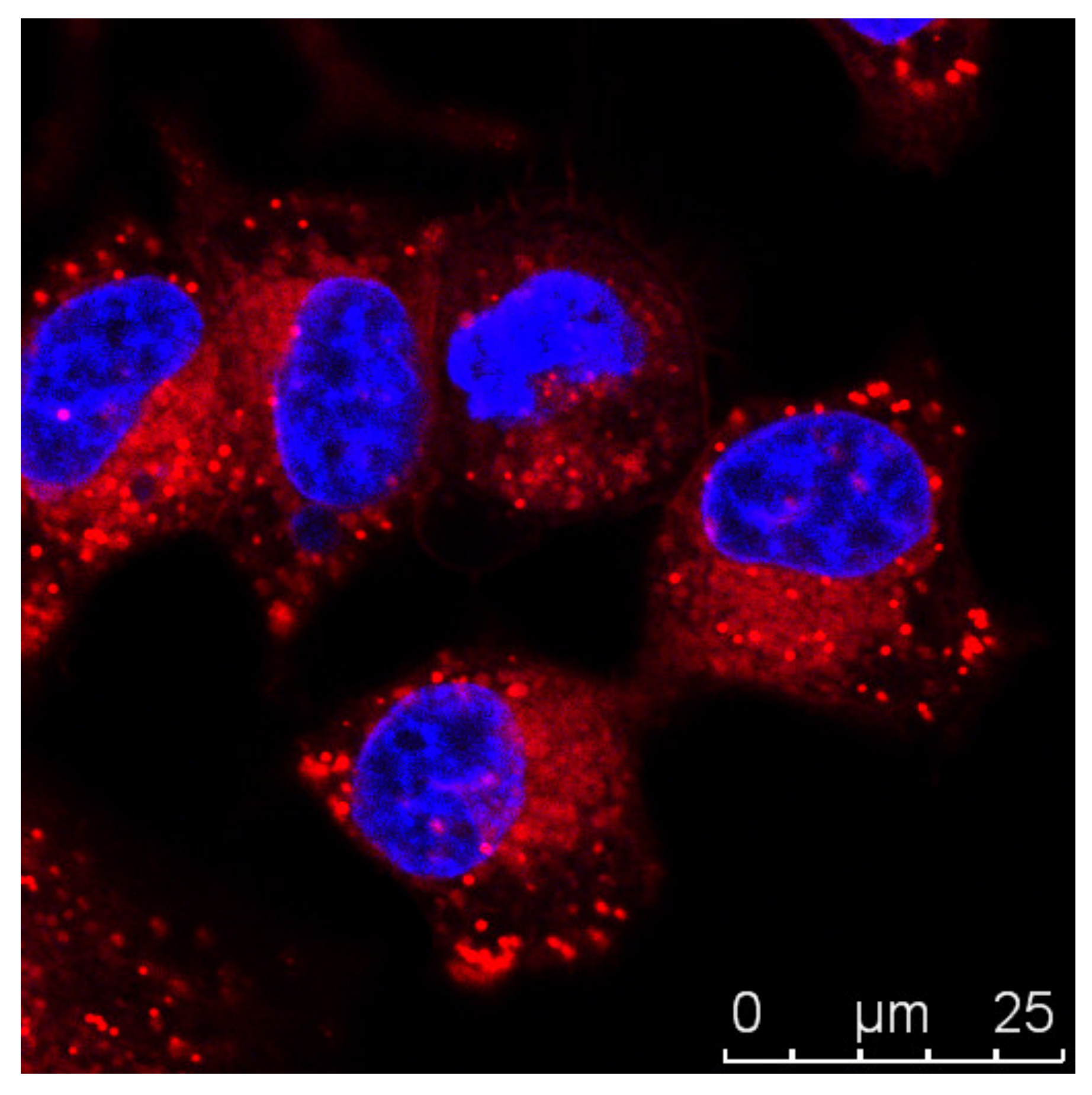 Molecules 27 00991 g004 Molecules 27 00991 g004