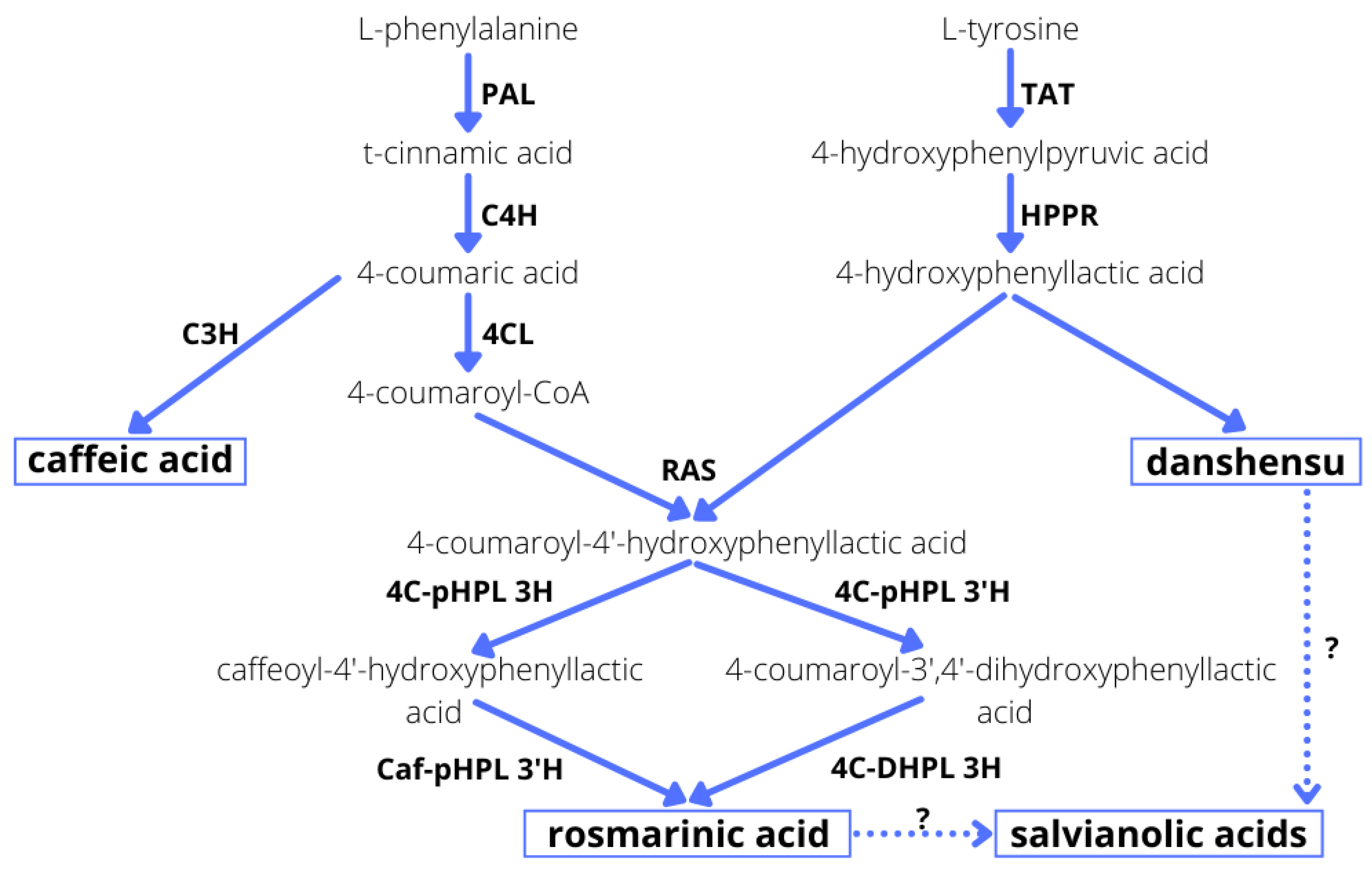 Molecules 27 00992 g003
