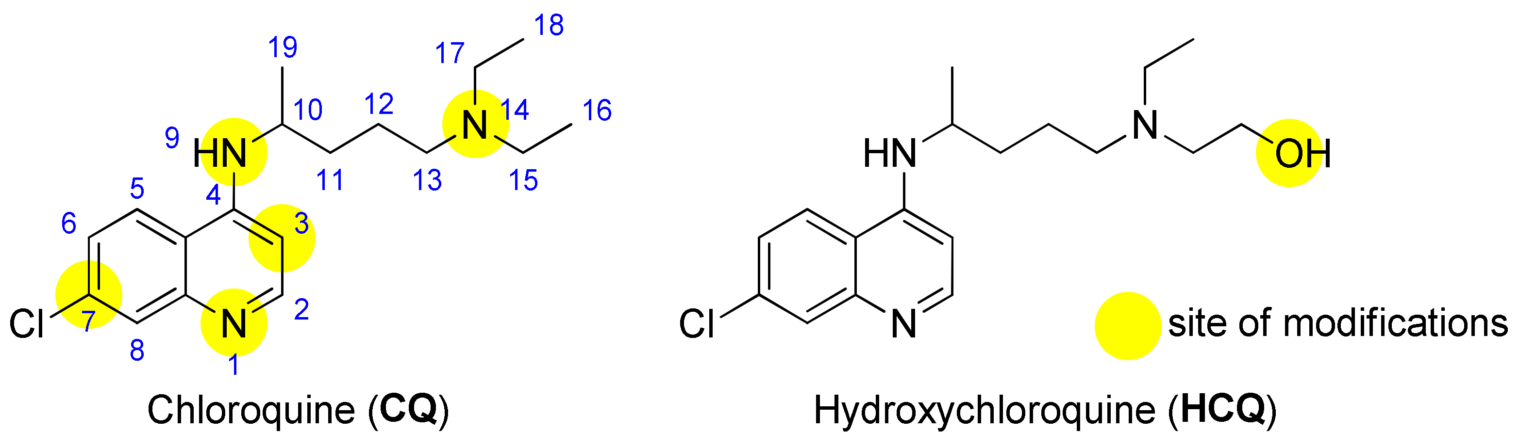 Molecules 27 01003 g005