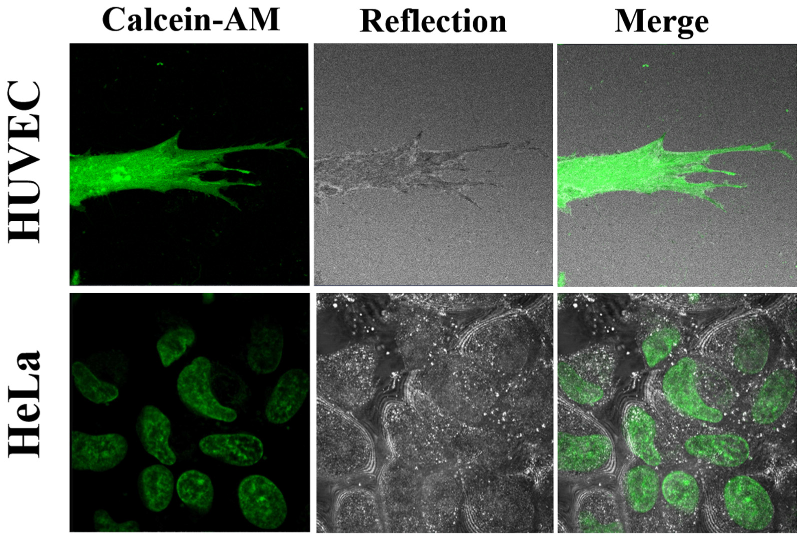 Molecules 27 01010 g005