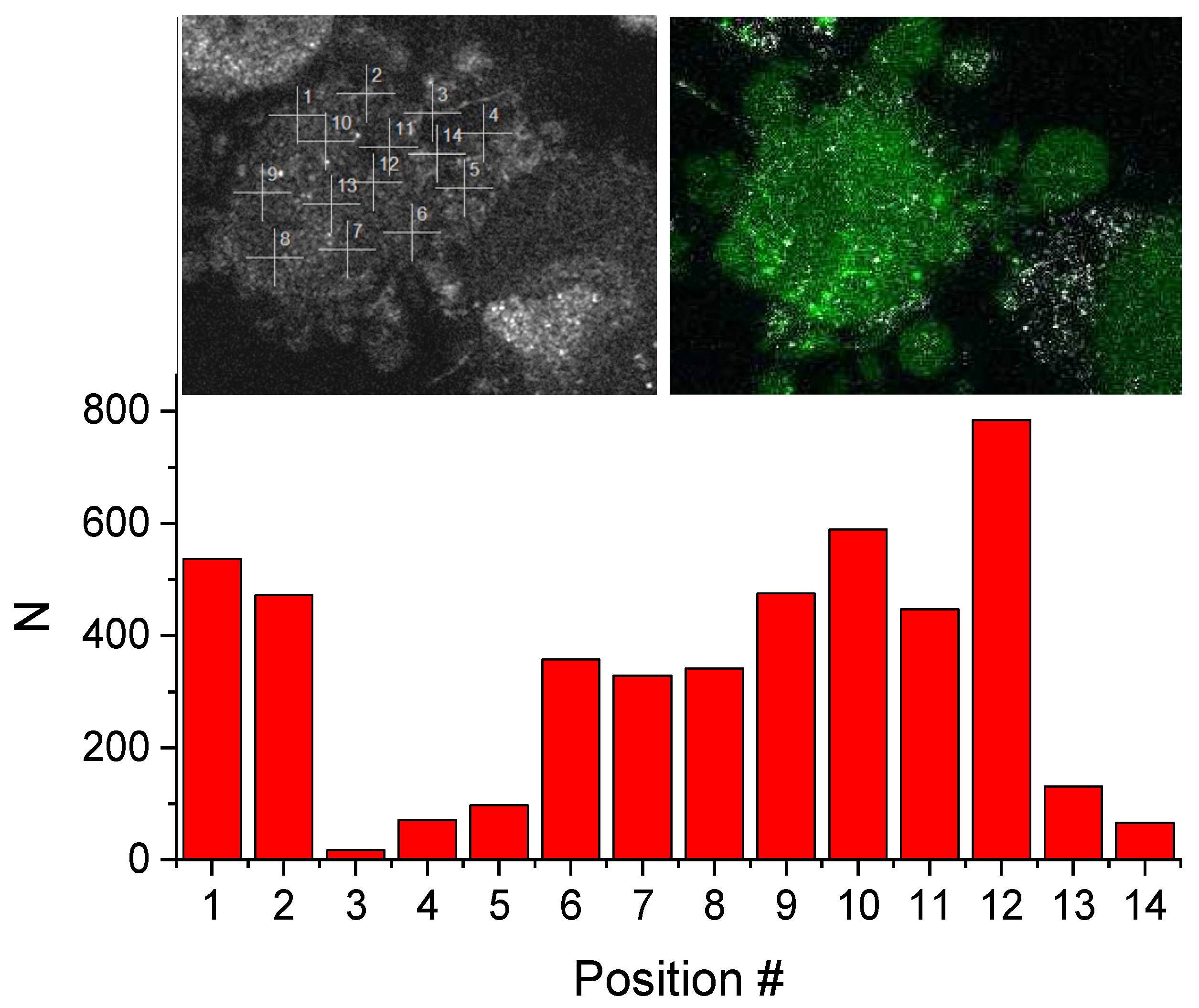 Molecules 27 01010 g011