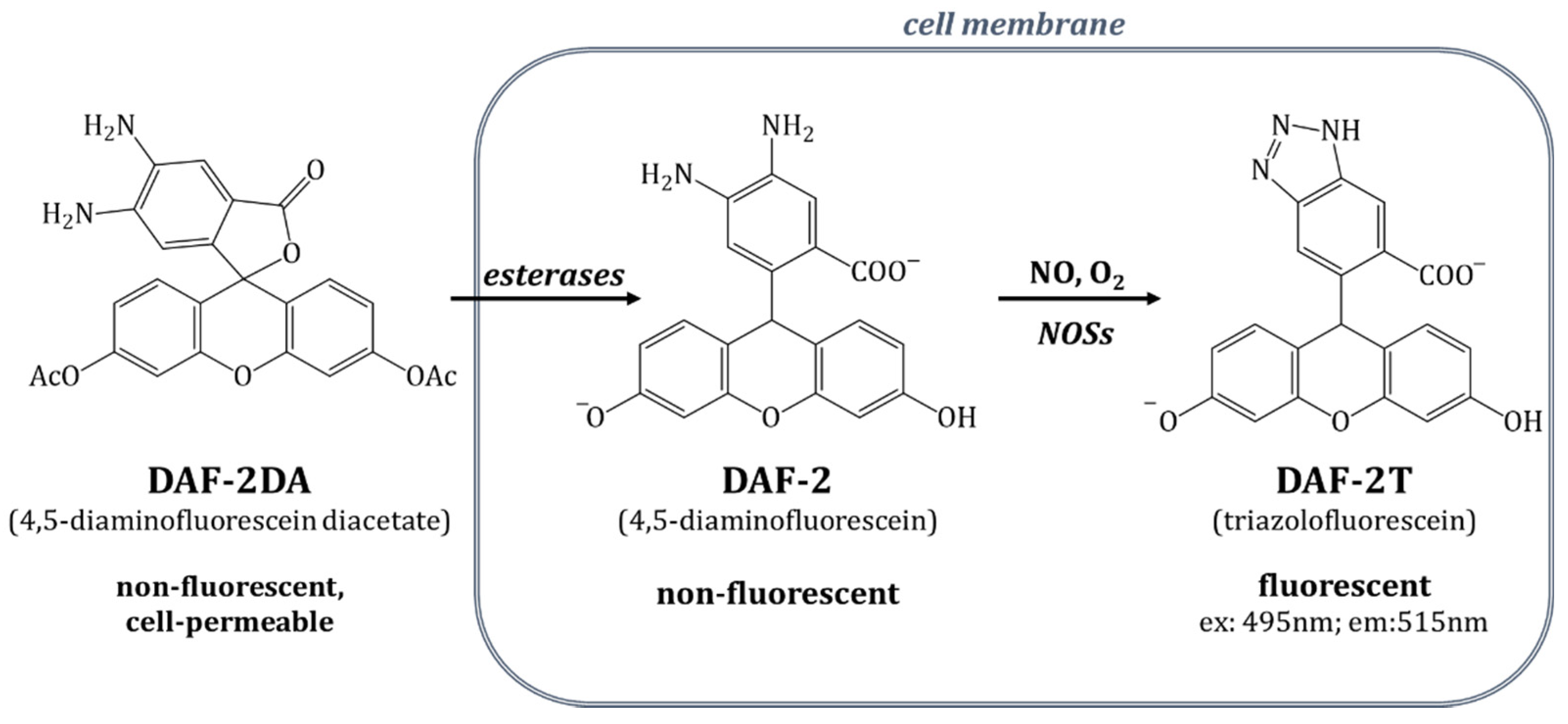Molecules 27 01010 g012