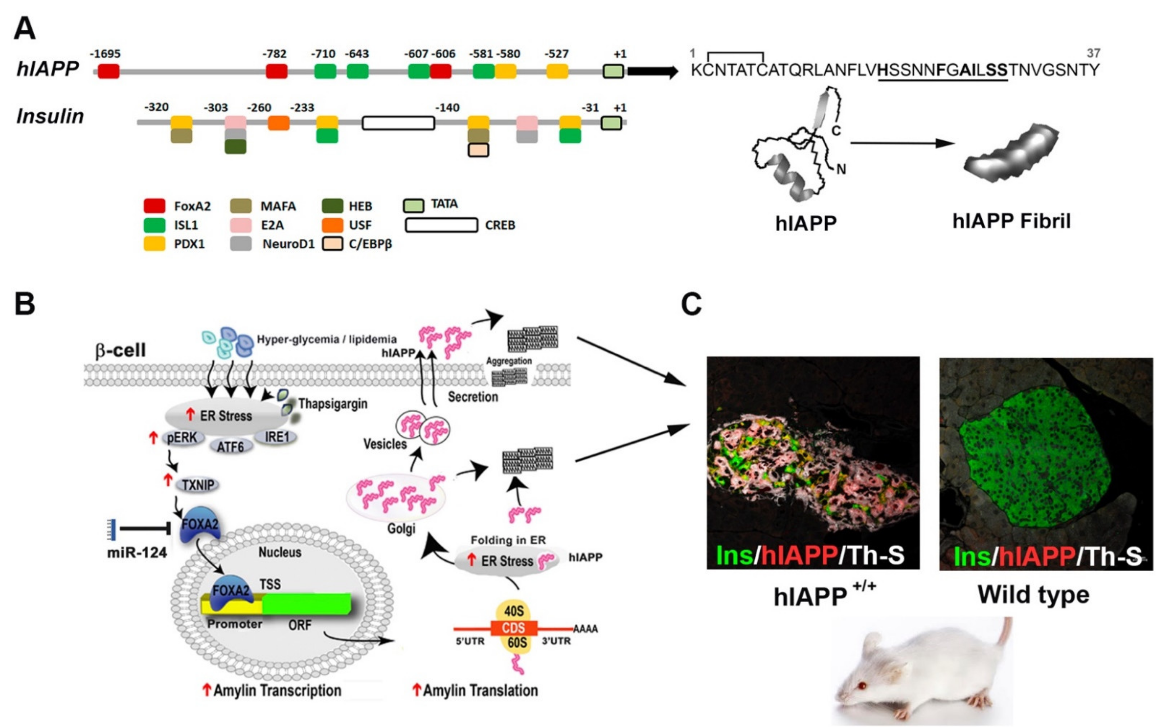 Molecules 27 01021 g001