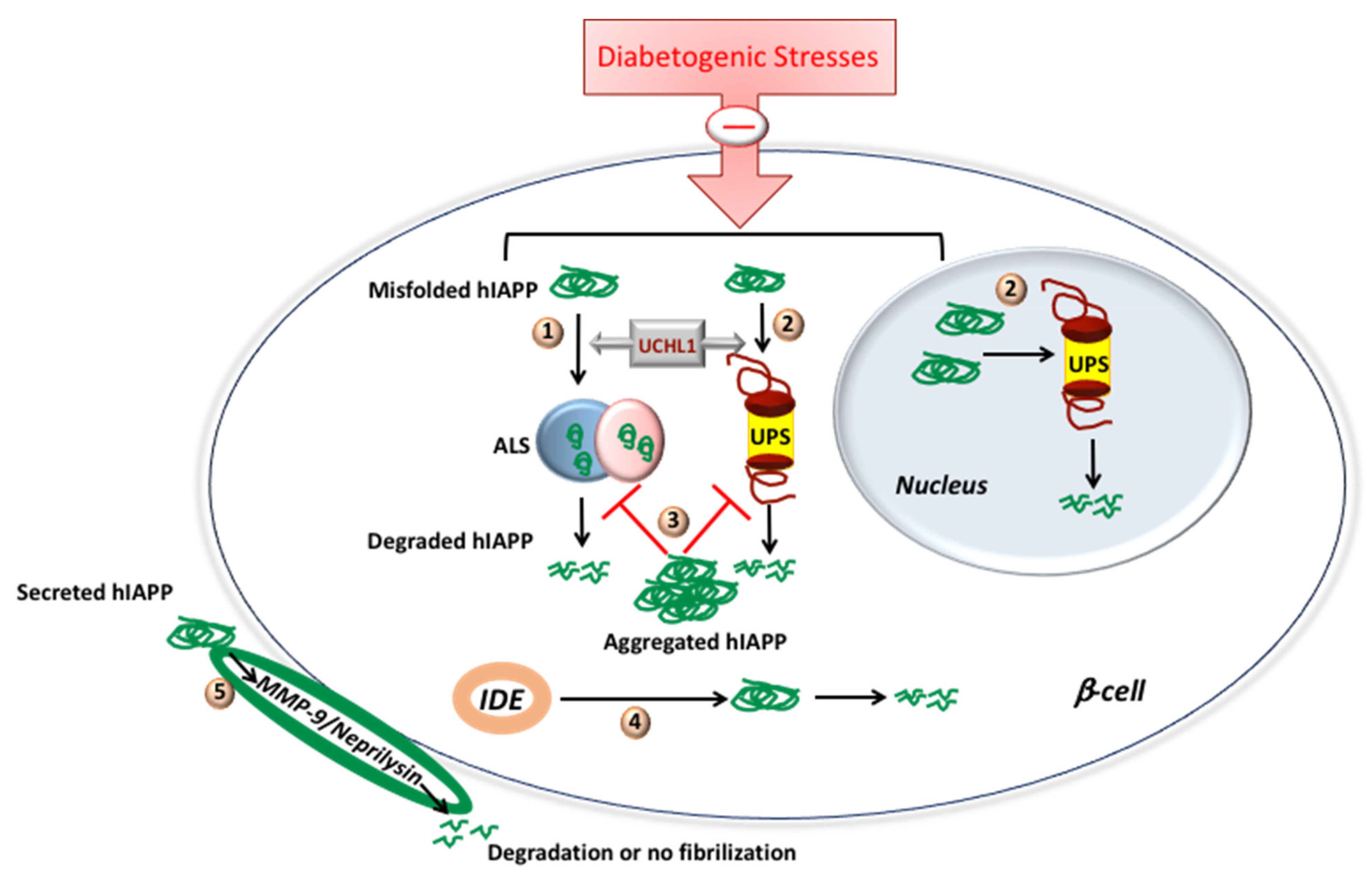 Molecules 27 01021 g003