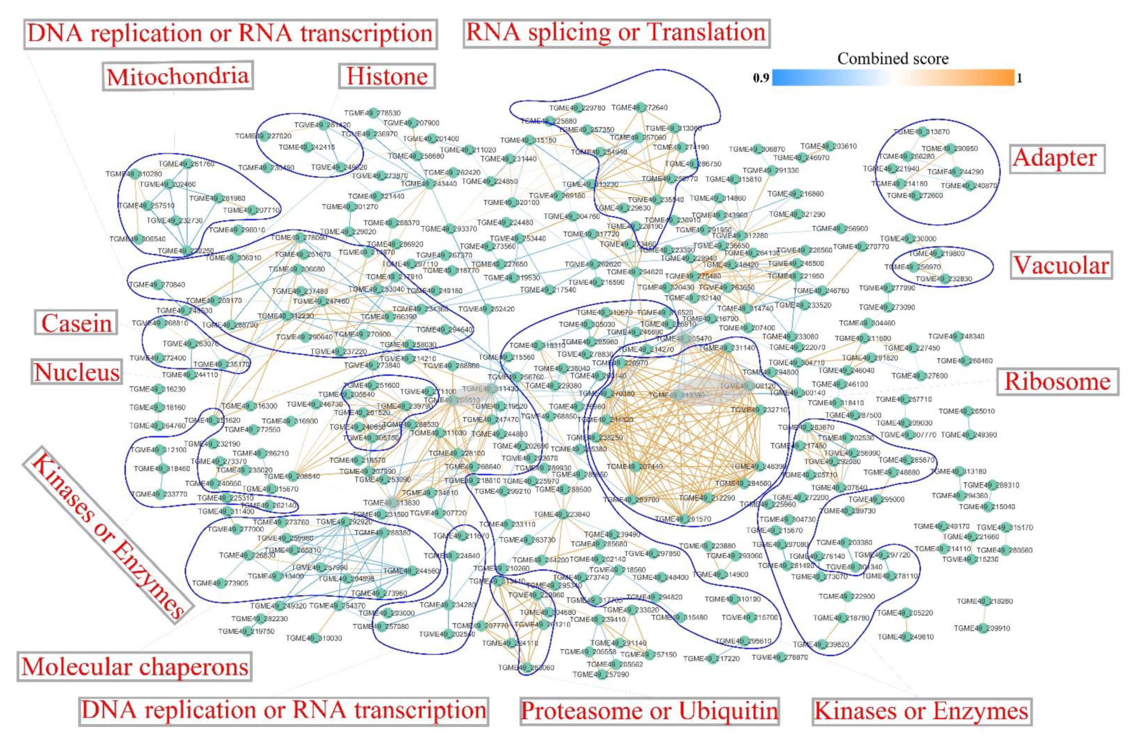 Molecules 27 01022 g009 Molecules 27 01022 g009