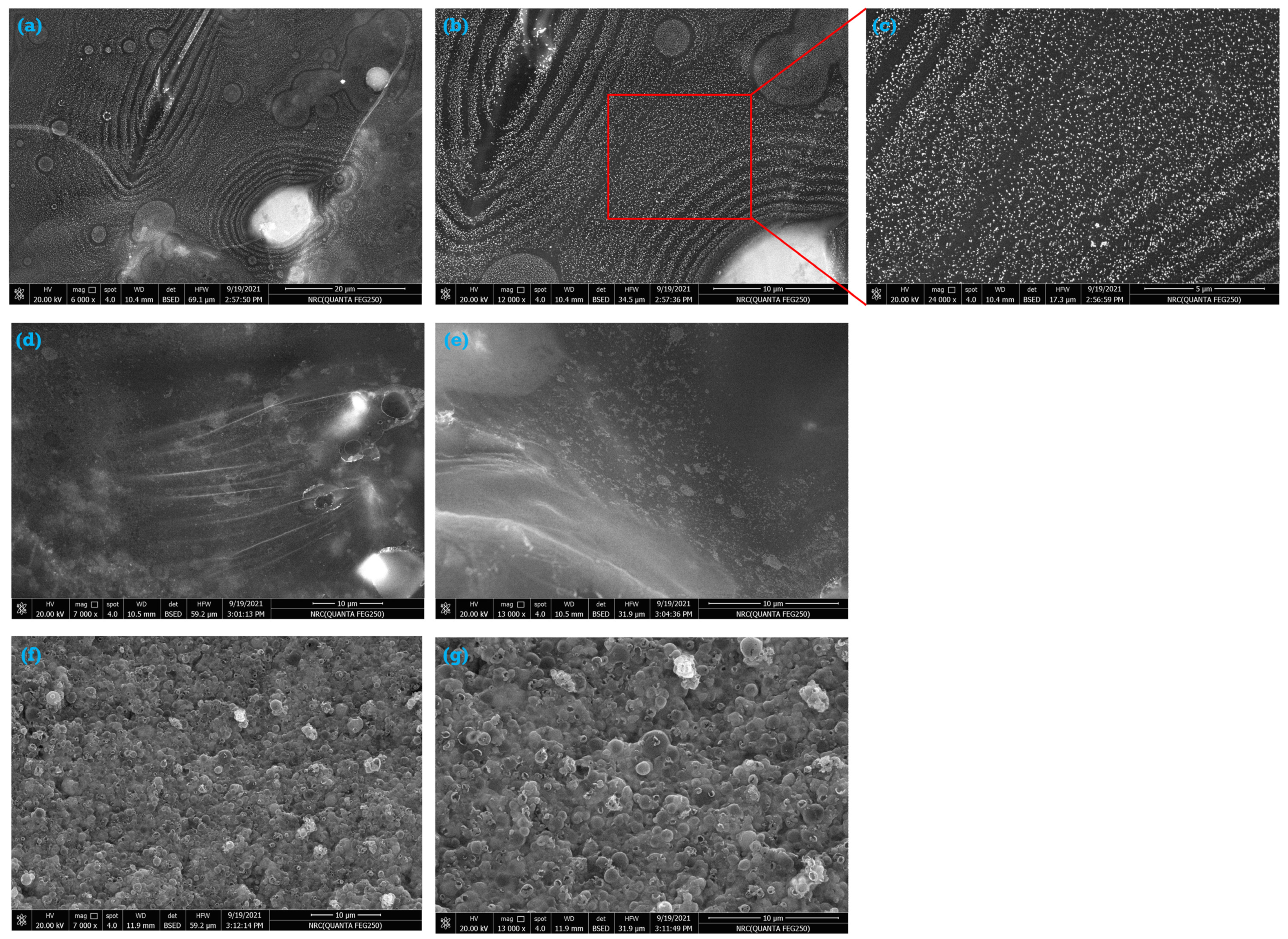 Molecules 27 01024 g002
