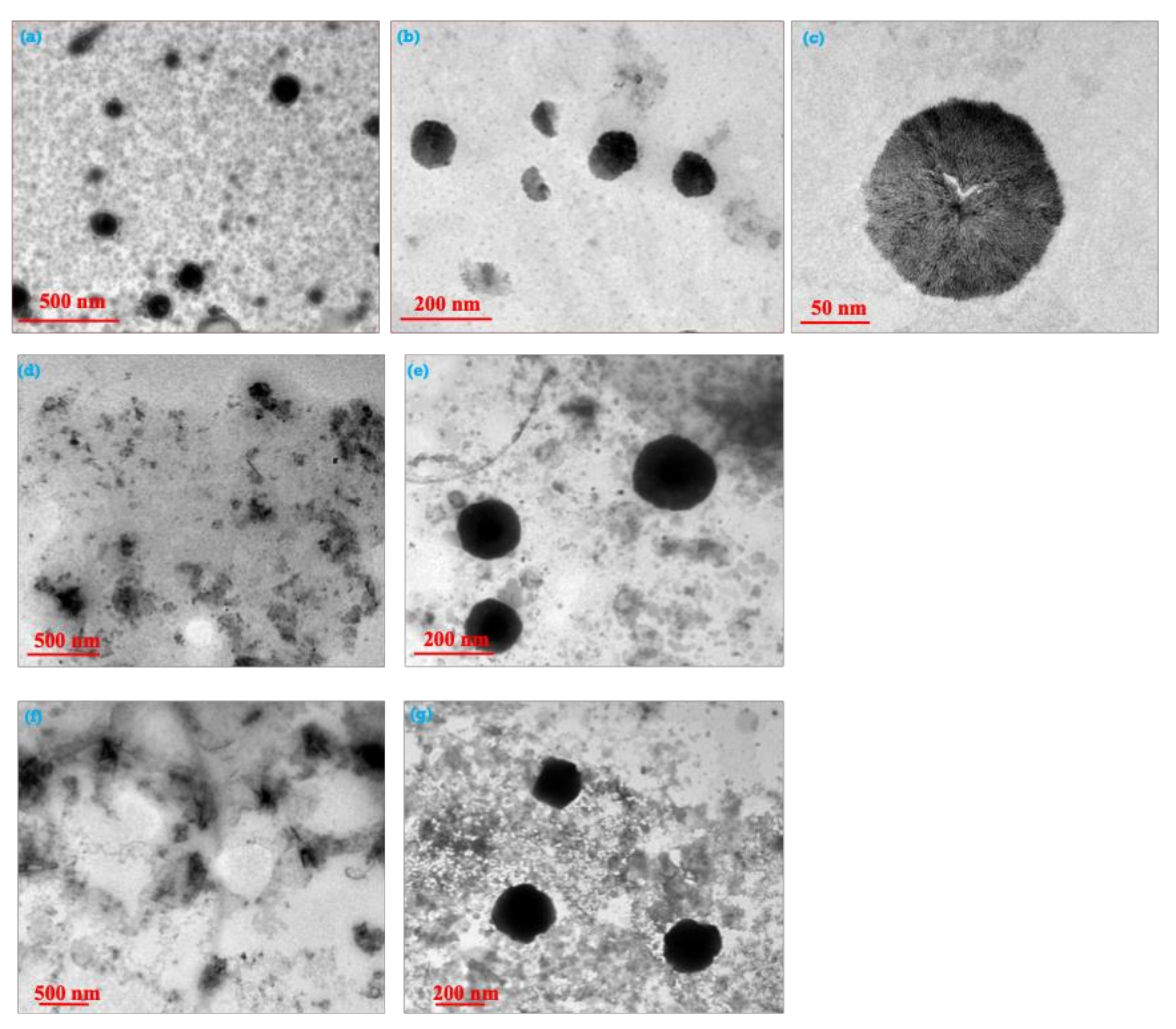 Molecules 27 01024 g005