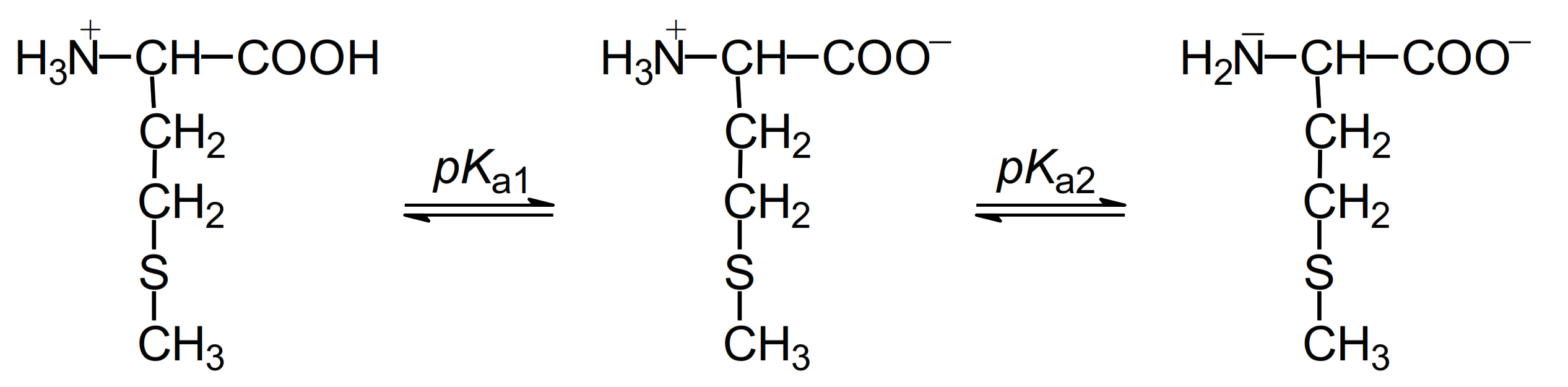 Molecules 27 01028 g001